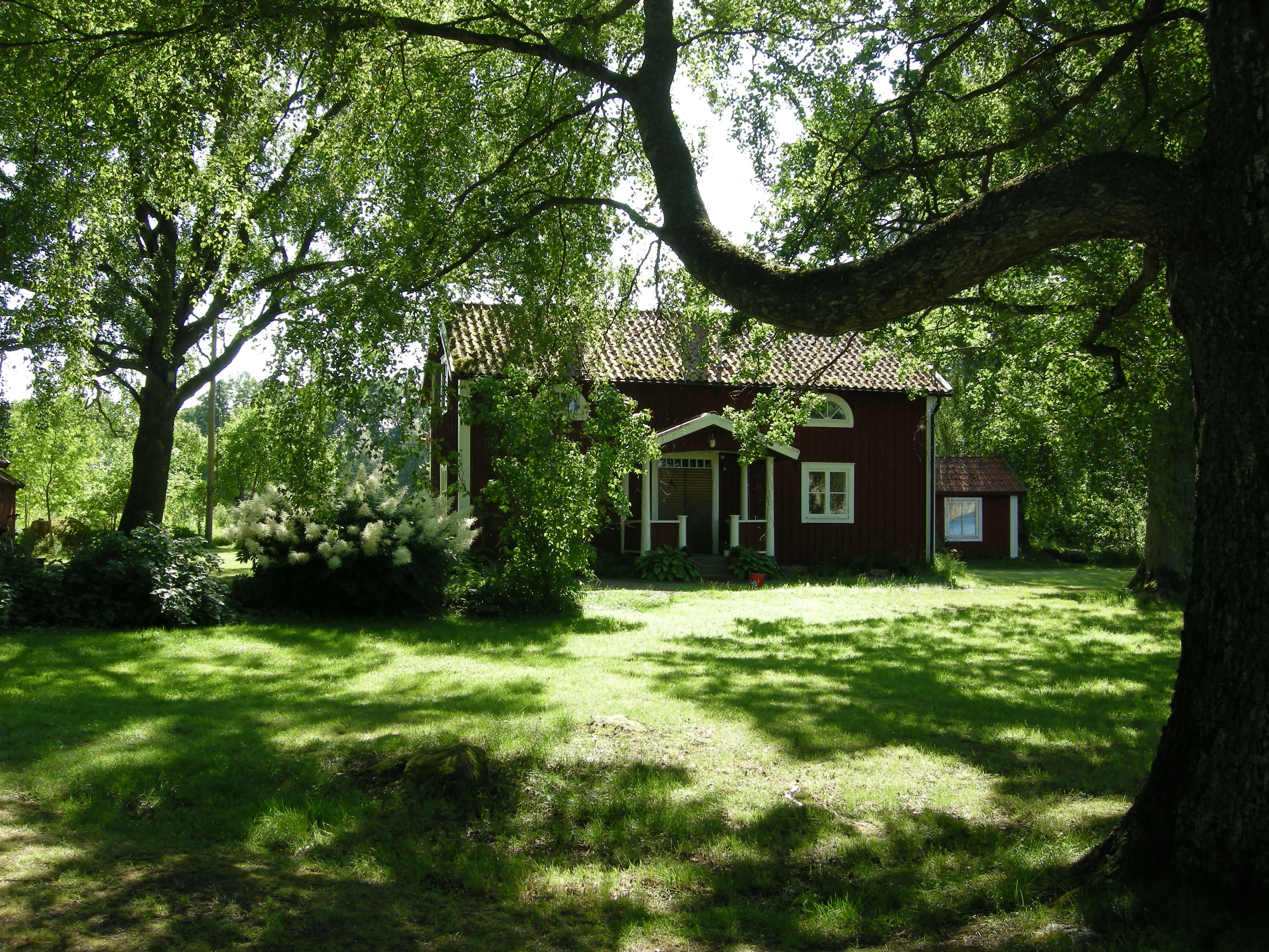 Rödmålat torp omgivet av grönska, Kronobergs kungsgård.