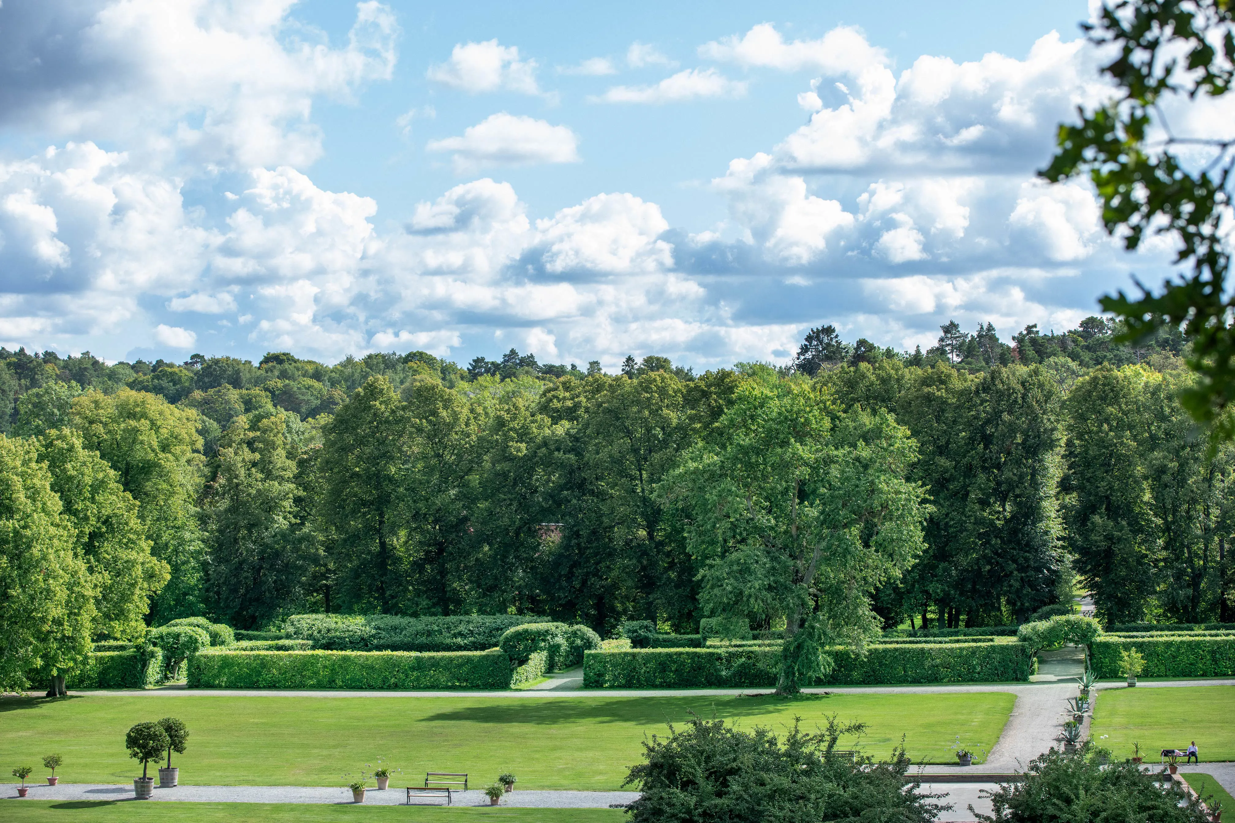 Vy över Hårlemans boské i Ulriksdals slottsträdgård.