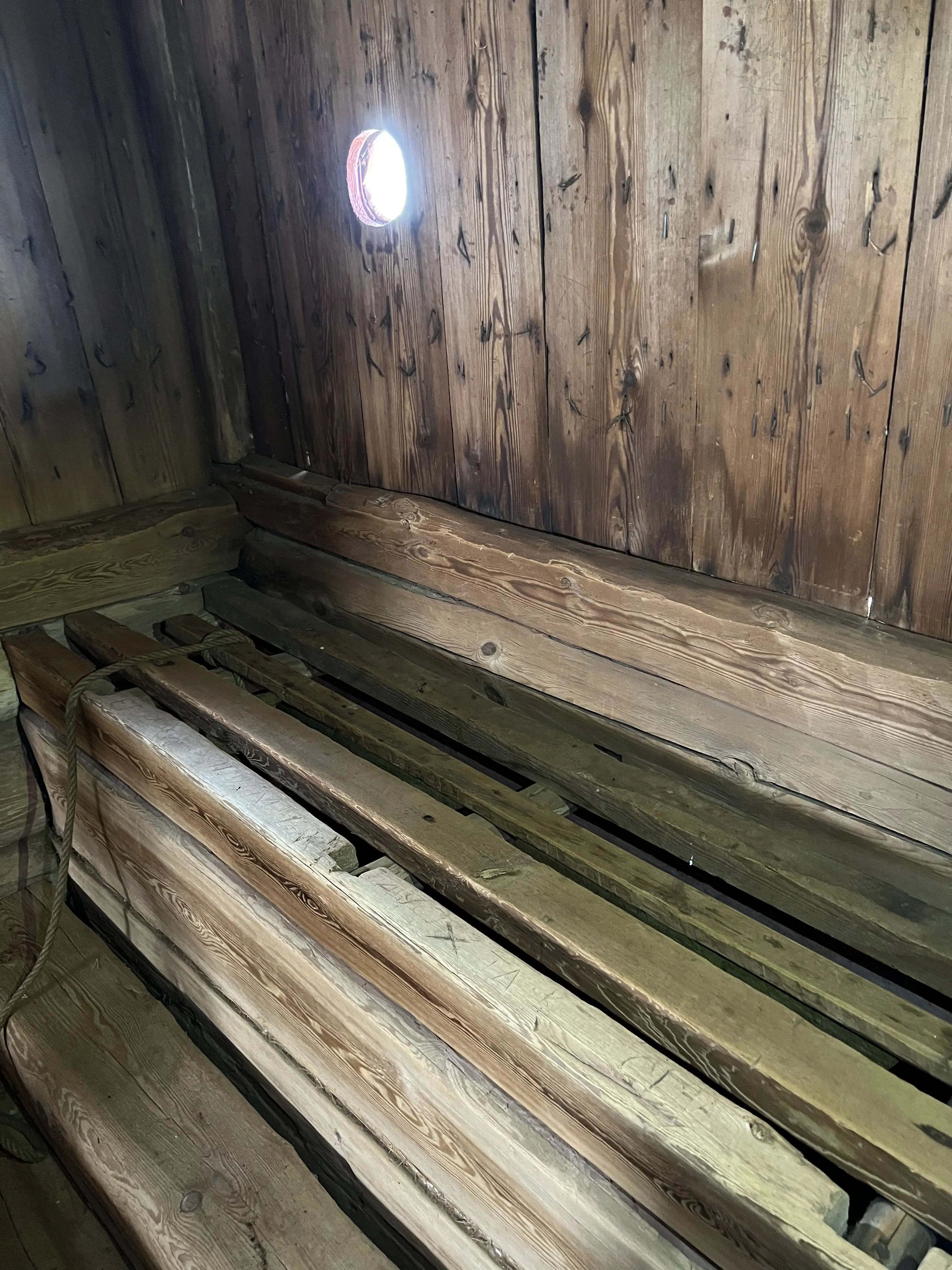 Ornässtugans berömda dass