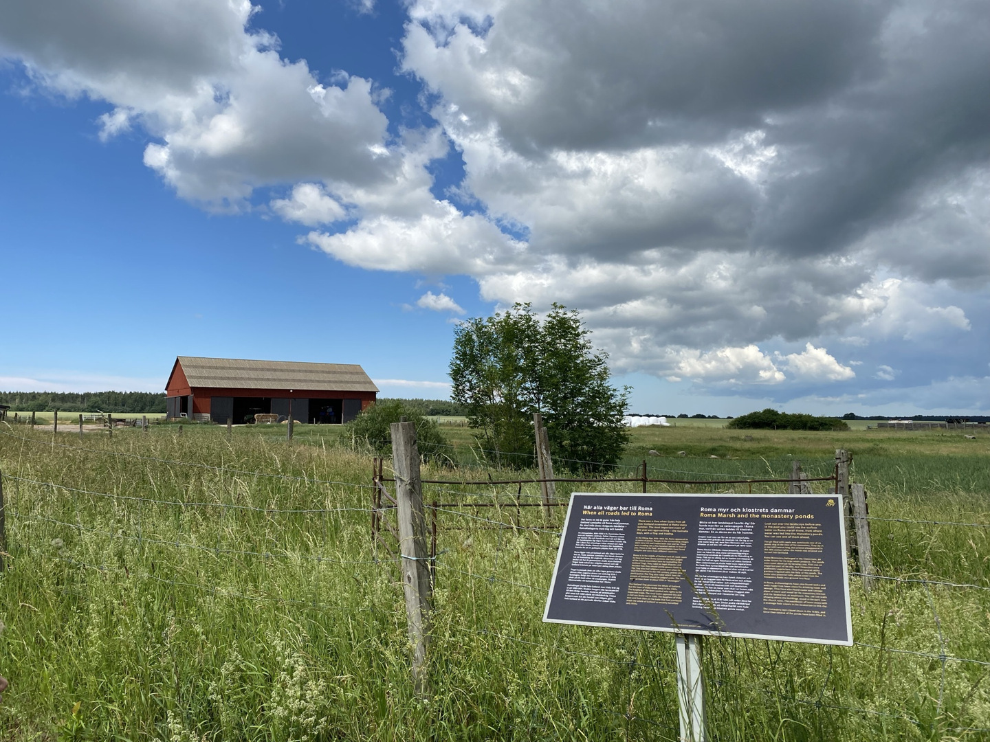 Jordbruksmark vid Roma kungsgård. I en sänka växer vass. En skylt beskriver de medeltida dammarna för fiskodling.