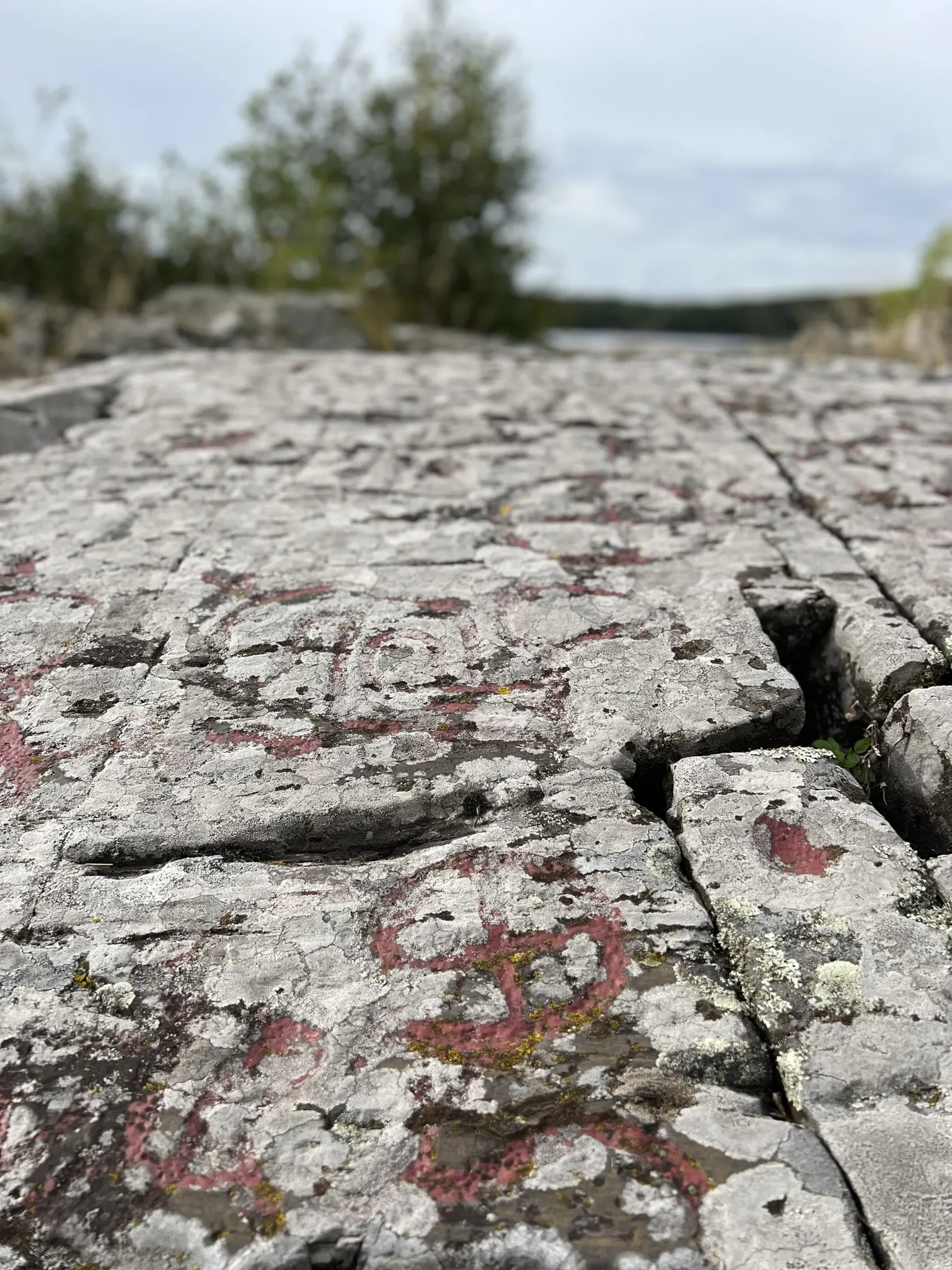 Högsbyn. Närbild på en stenhäll med ristningar i form av hjulkors.