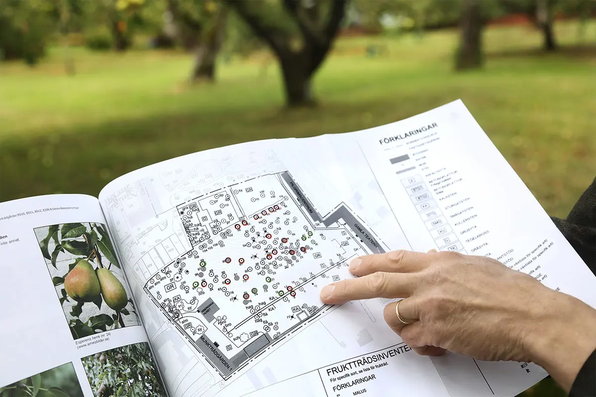 Karta över fruktträden i Munkträdgården i Vadstena