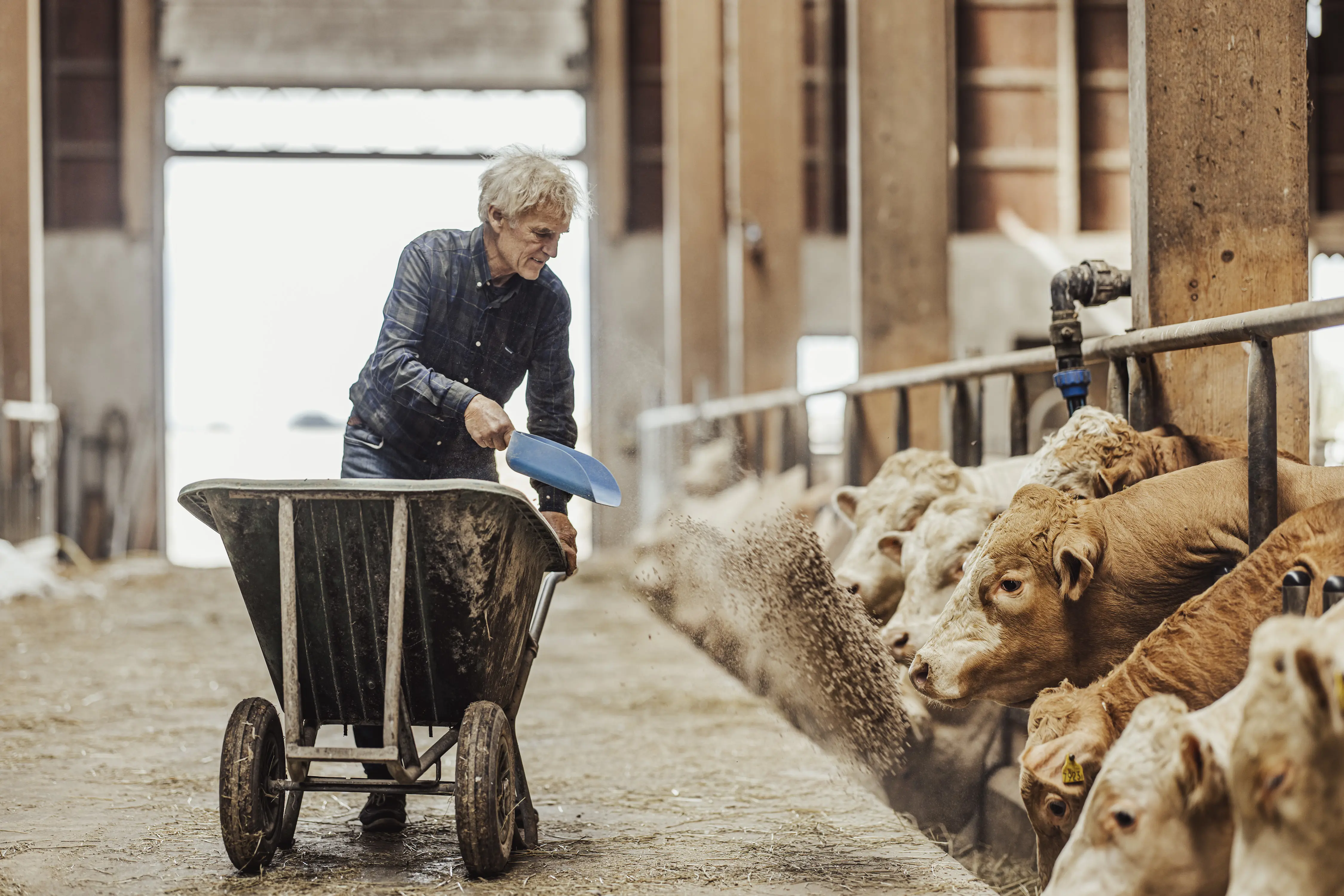 Per Åsheim utfordrar sina kor