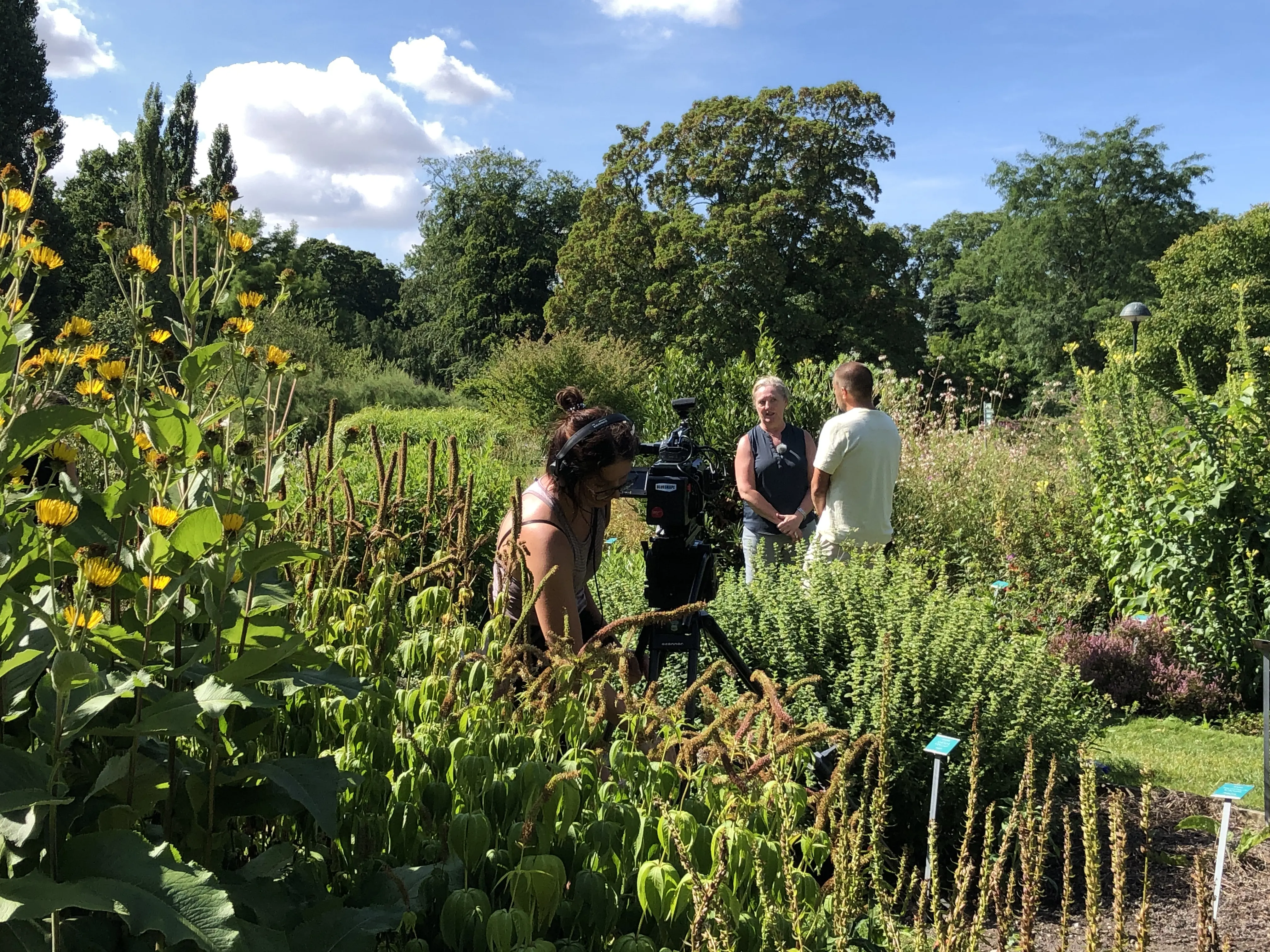 En person står framför en kamera och filmar två andra personer i en trädgård.