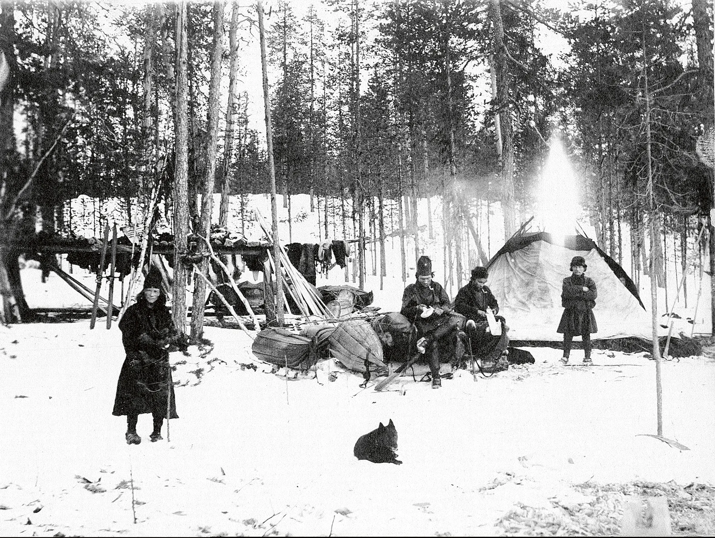 ett samiskt viste någonstans i Arjeplogs kommun, Pite lappmark, omkring förra sekelskiftet.