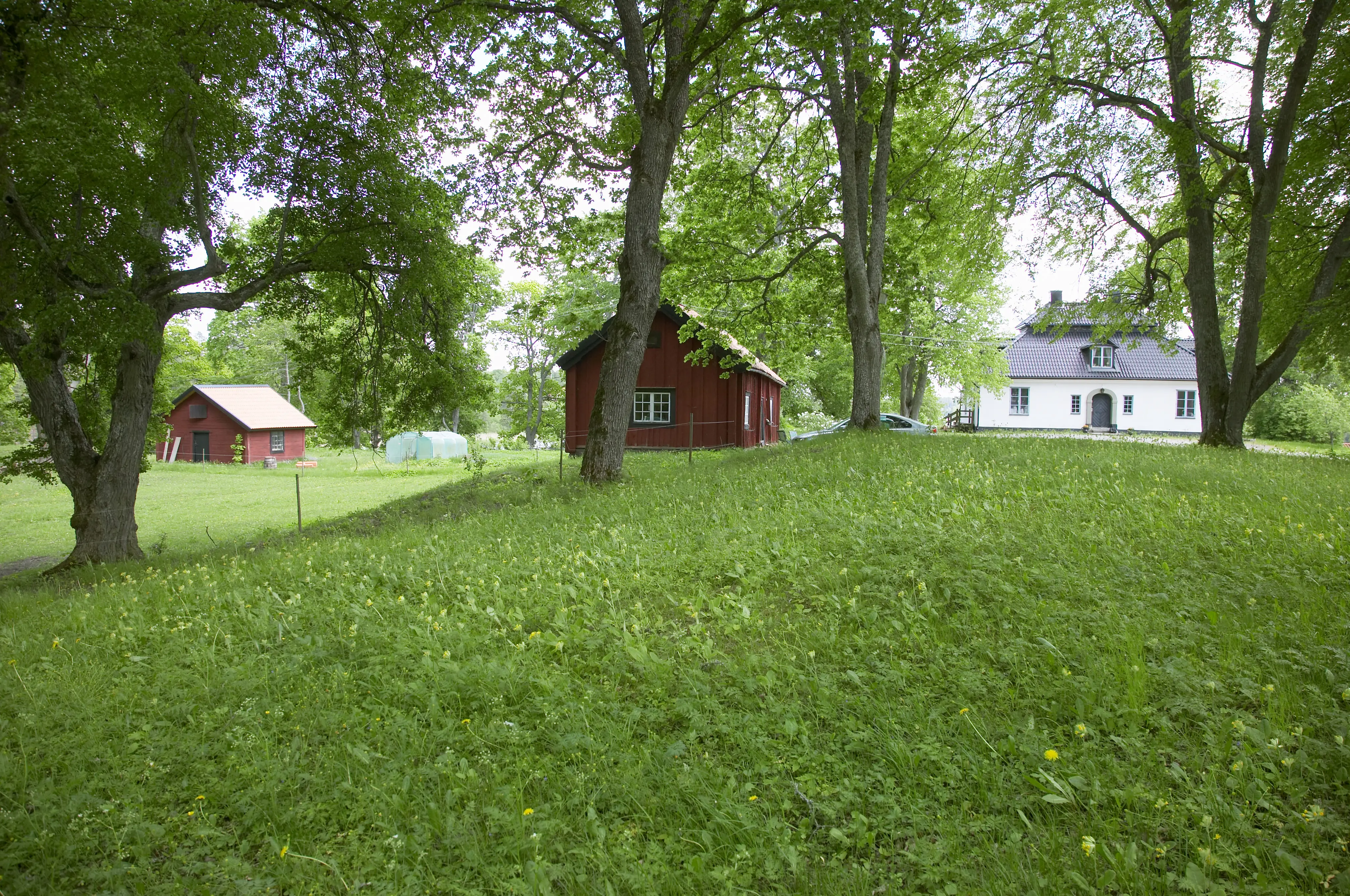 Magasinbyggnad och mangårdsbyggnad, Ådö kaptensboställe. Sommar och grönska.