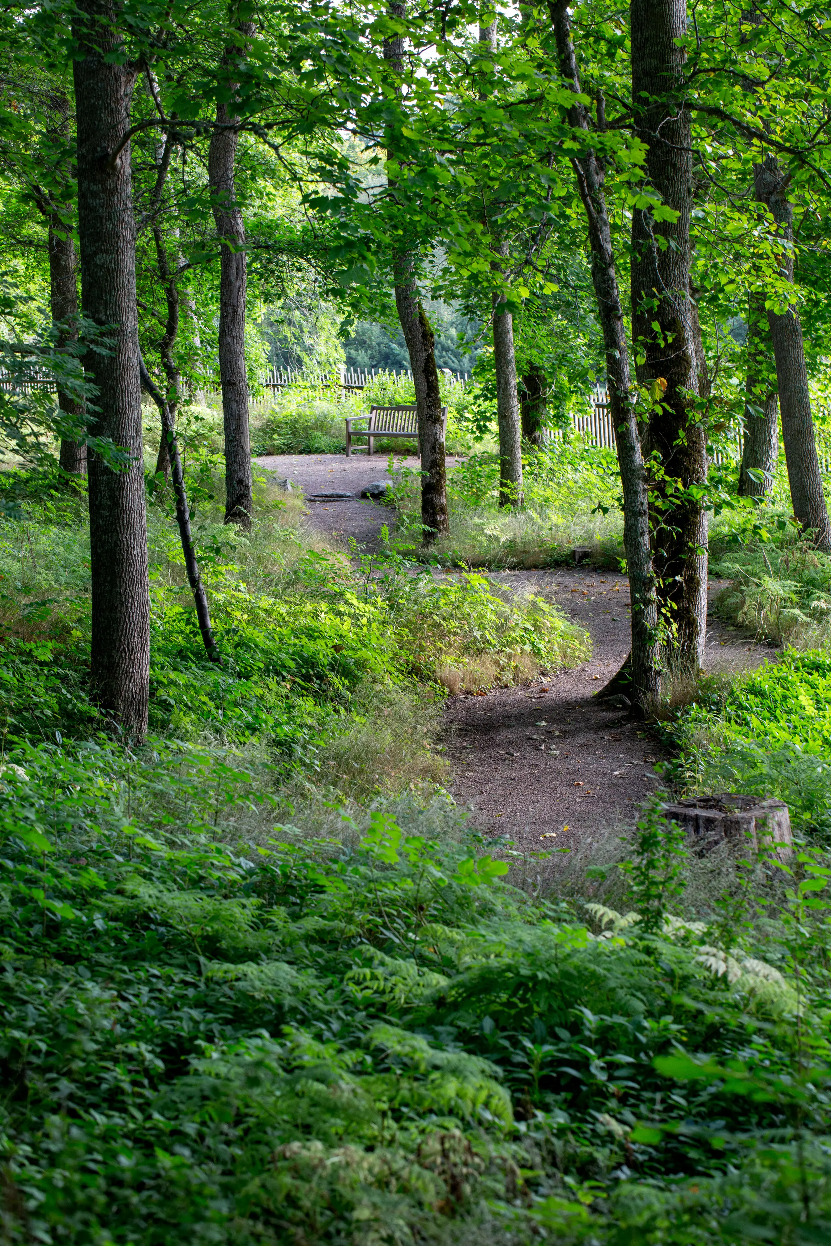 Engelsk park med träd, grönska och vindlande grusgångar.