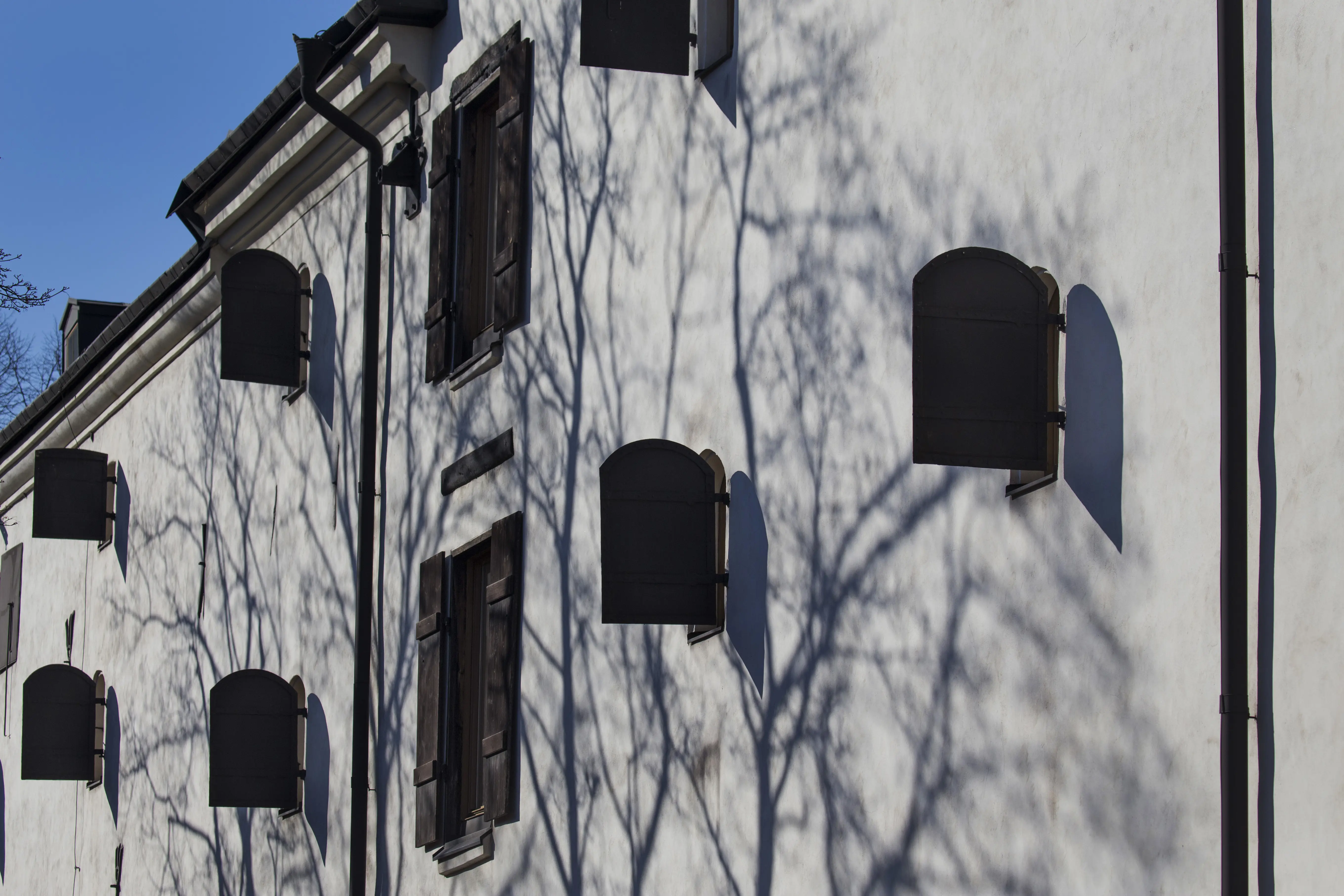Scenkonstmuseets fasad mot Sibyllegatan. Mot den vita putsen avtecknar sig skuggor av kala trädgrenar.