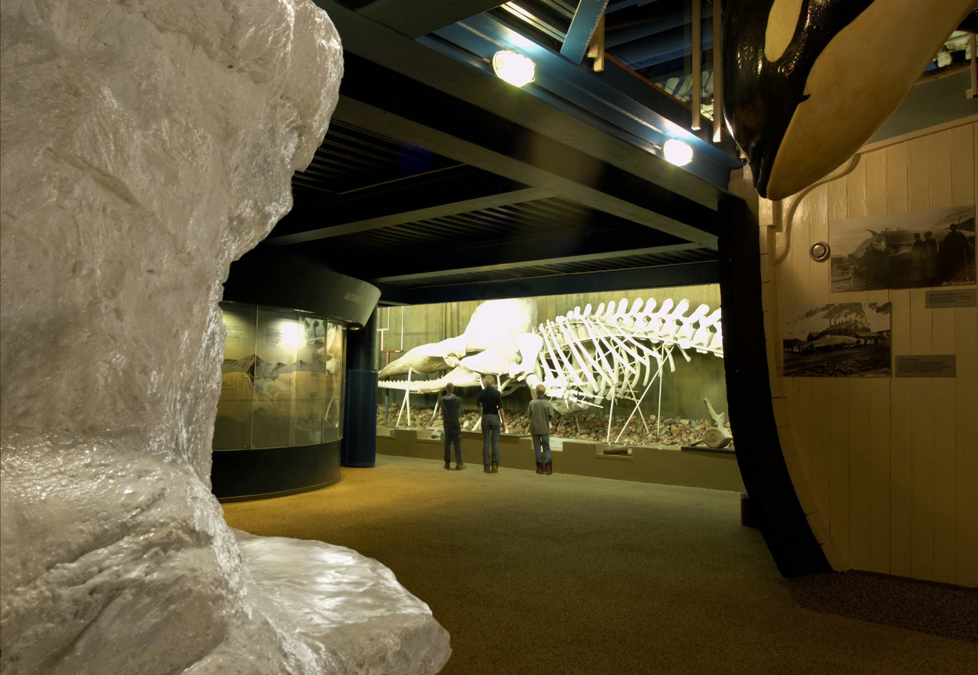 Naturhistoriska riksmuseet, utställningshall. Tre barn tittar på ett valskelett.