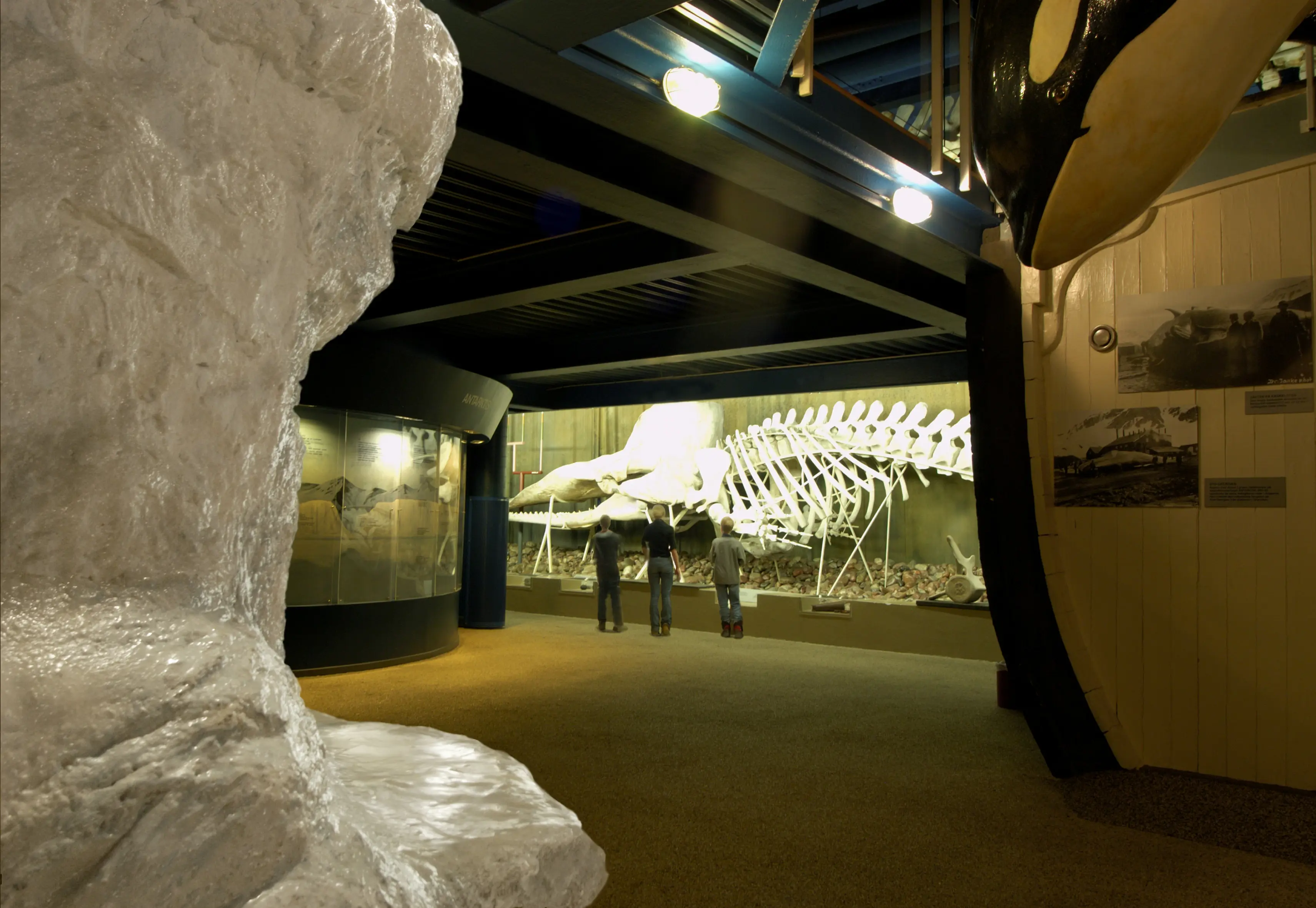 Naturhistoriska riksmuseet, utställningshall. Tre barn tittar på ett valskelett.