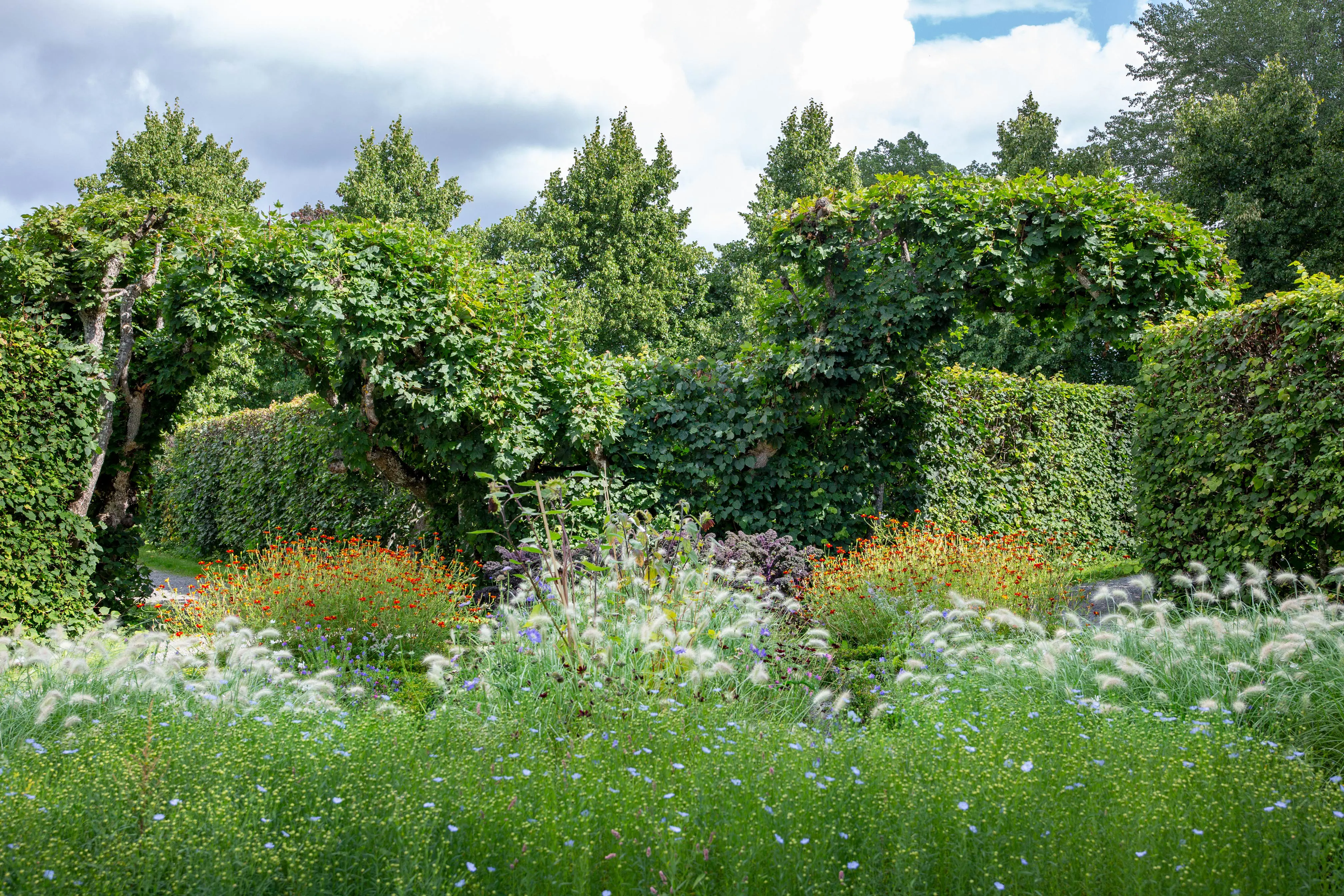 Lindboské i Ulriksdals slottsträdgård med vildare utseende
