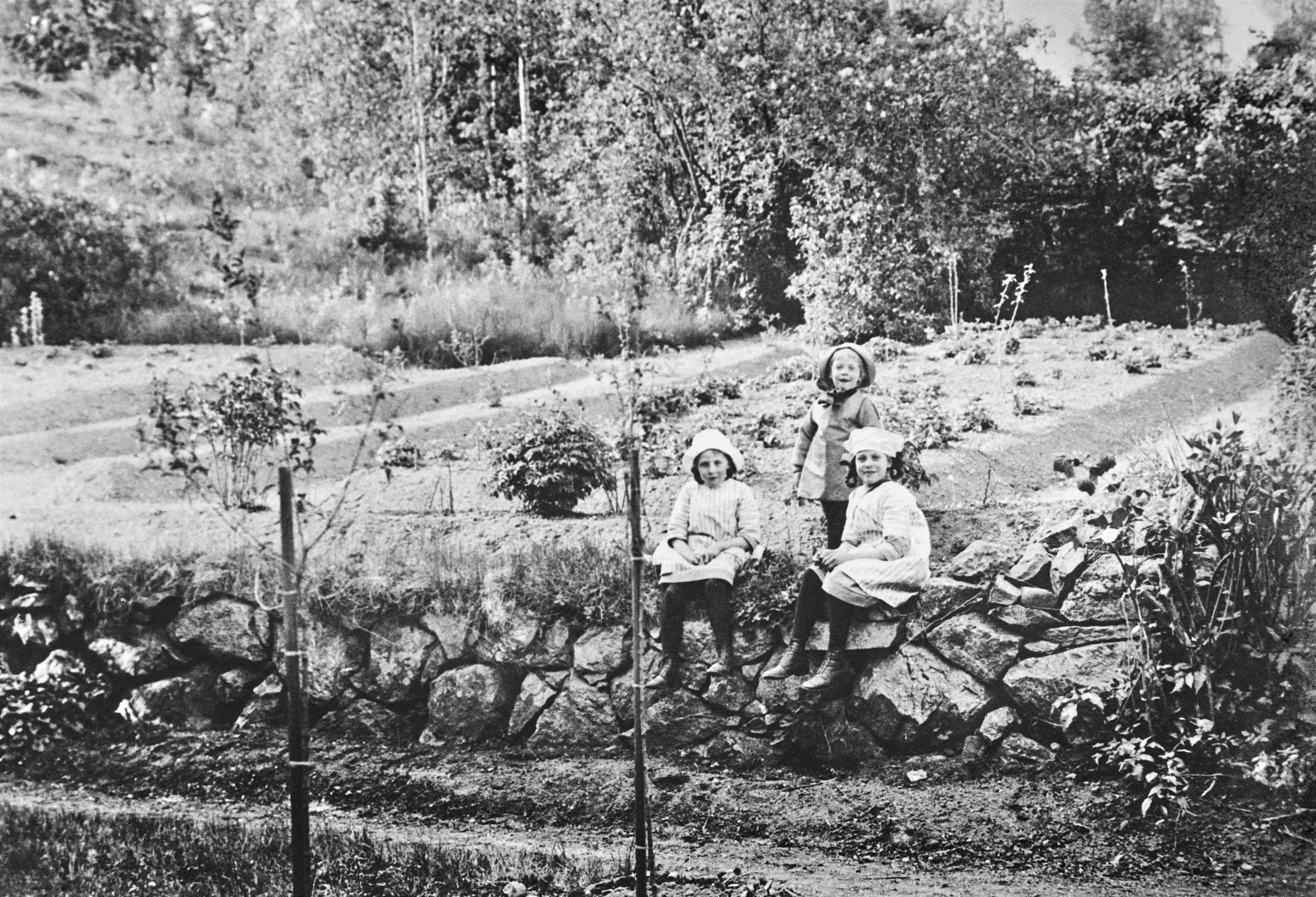Gunnel, Tord och Dagny Vestergren i trädgården vid Tumba bruk 1915.