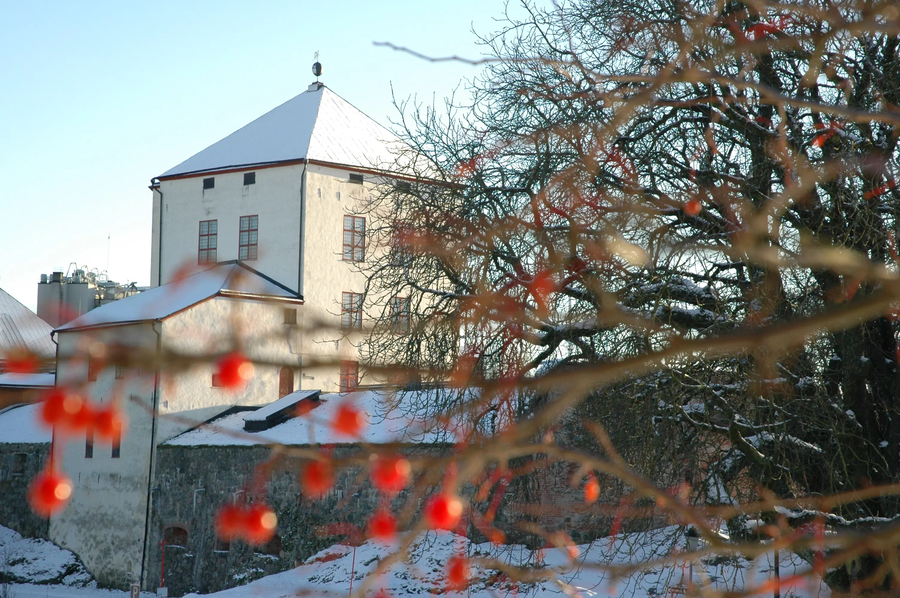 Nyköpingshus, kungstornet. Vinter och snö. I förgrunden skymtar grenar med klar-röda bär.