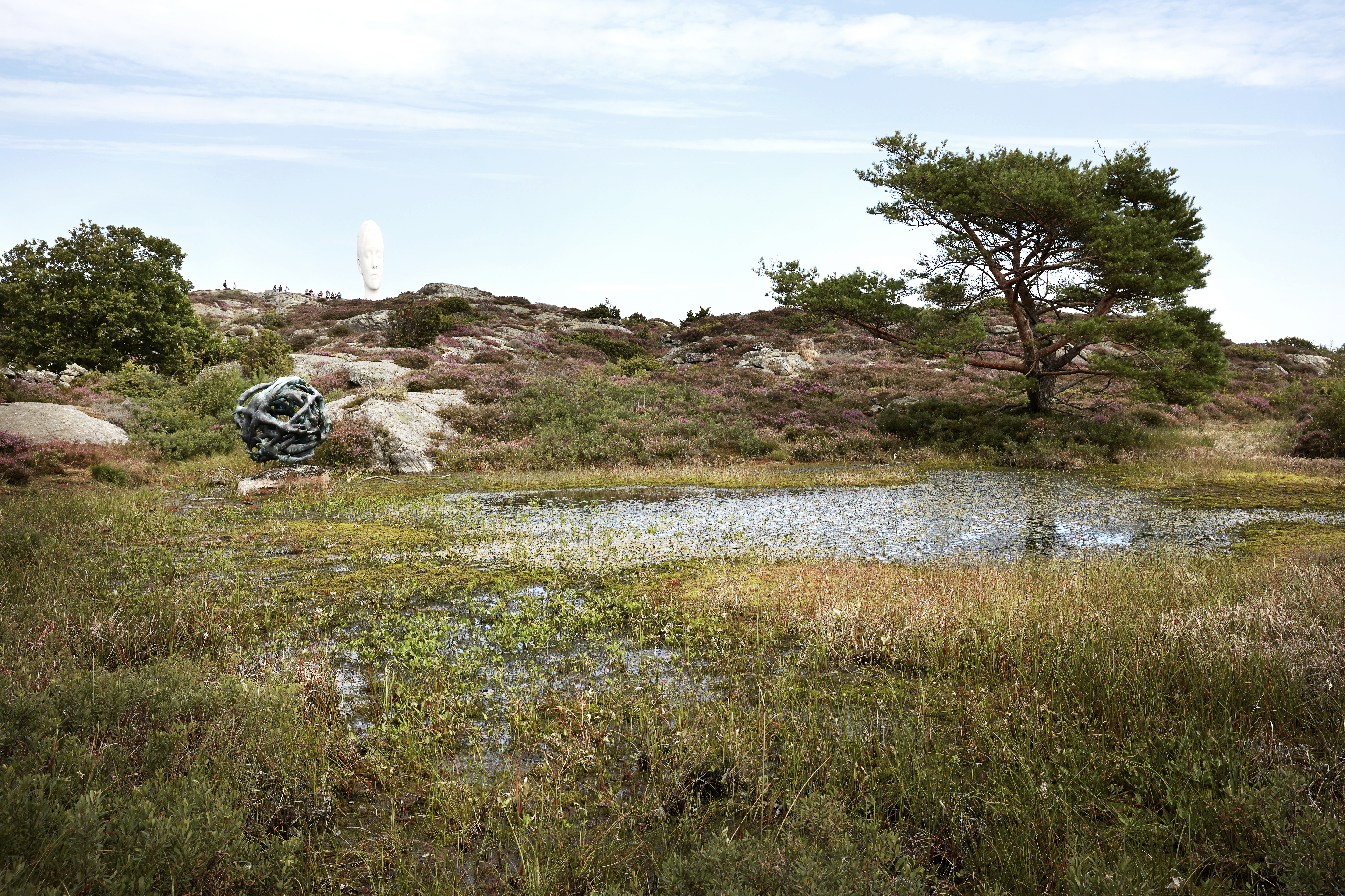 Landskap med klippor och låg växtlighet. En sänka är översvämmad. Skulpturer är utställda i landskapet.