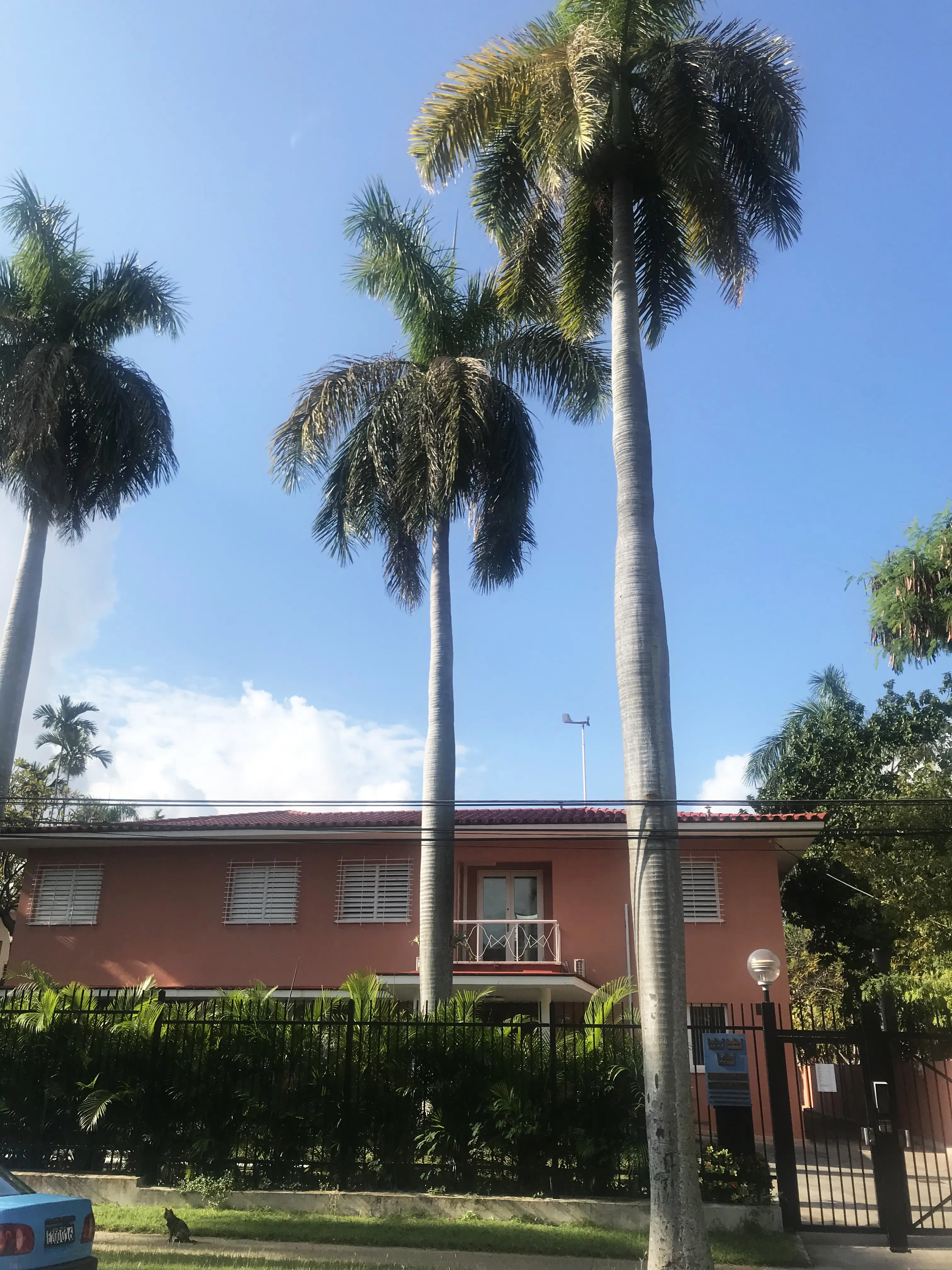 Ambassaden i Havanna. En rosaputsad tvåvåningsbyggnad. Huset omgärdas av ett högt järnstaket, höga palmer och grönska.