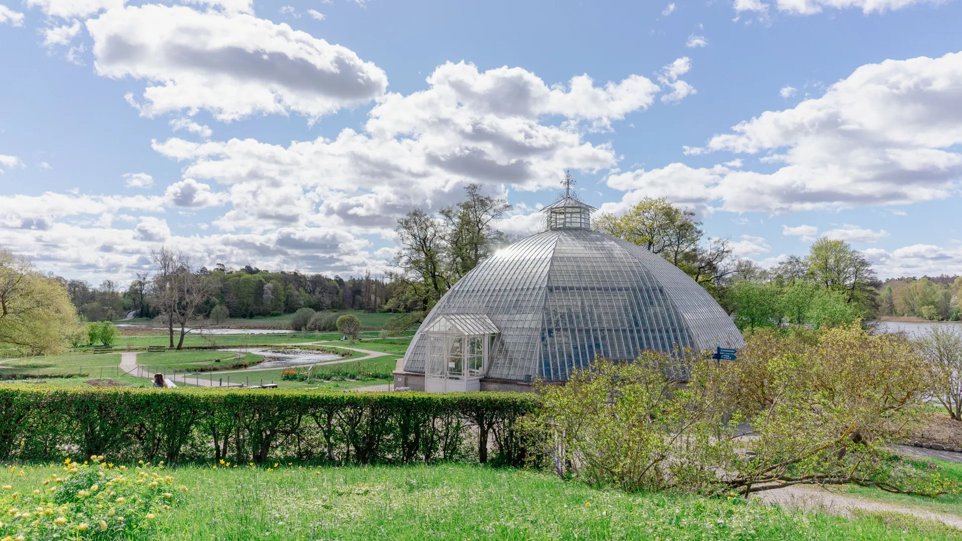 Bergianska trädgården, vår. Utsikt över parkens gräsytor och gångvägar. I förgrunden Victoria-växthuset.
