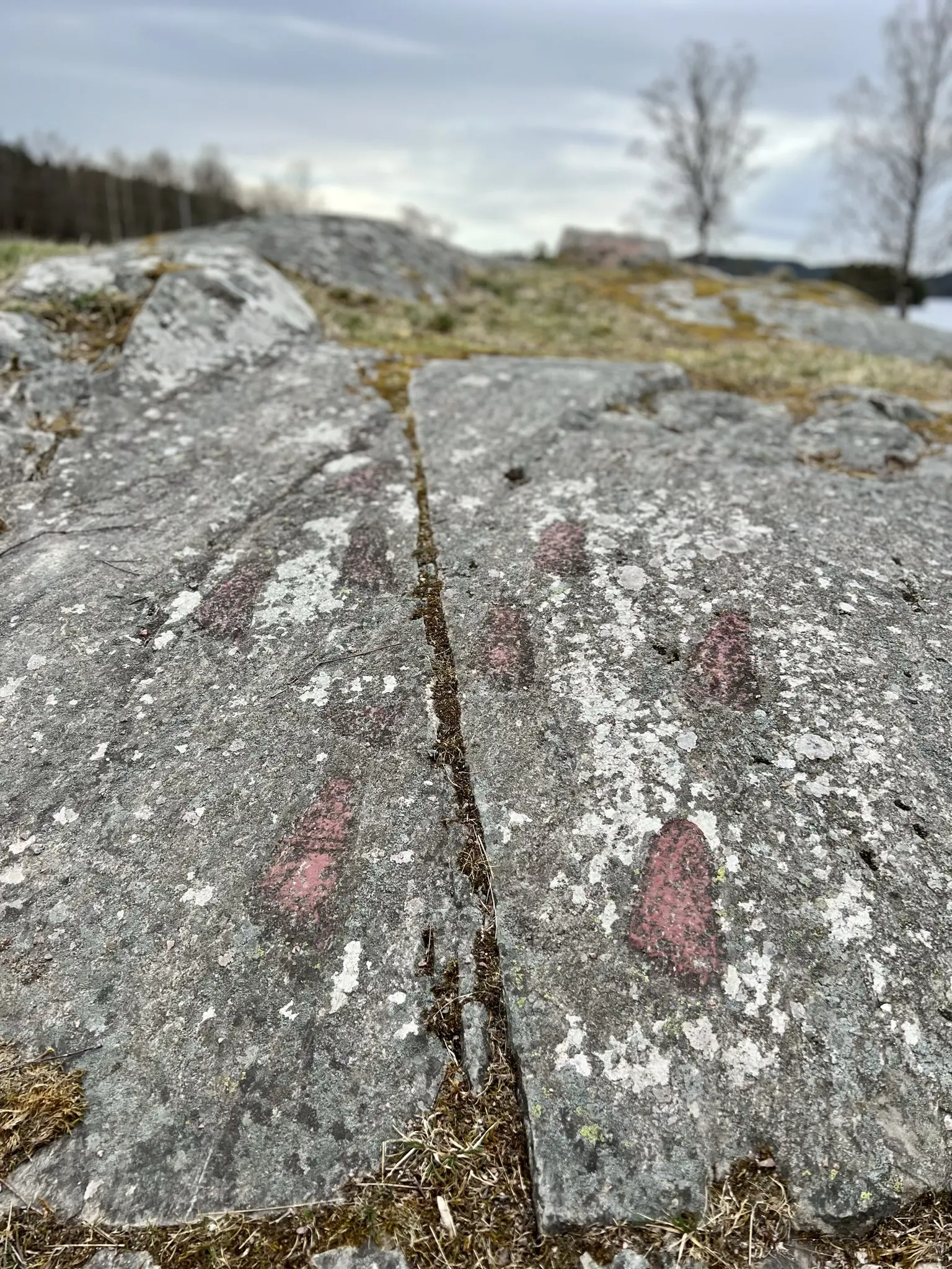 Högsbyn. Närbild på en stenhäll med ristade fotsulemönster.