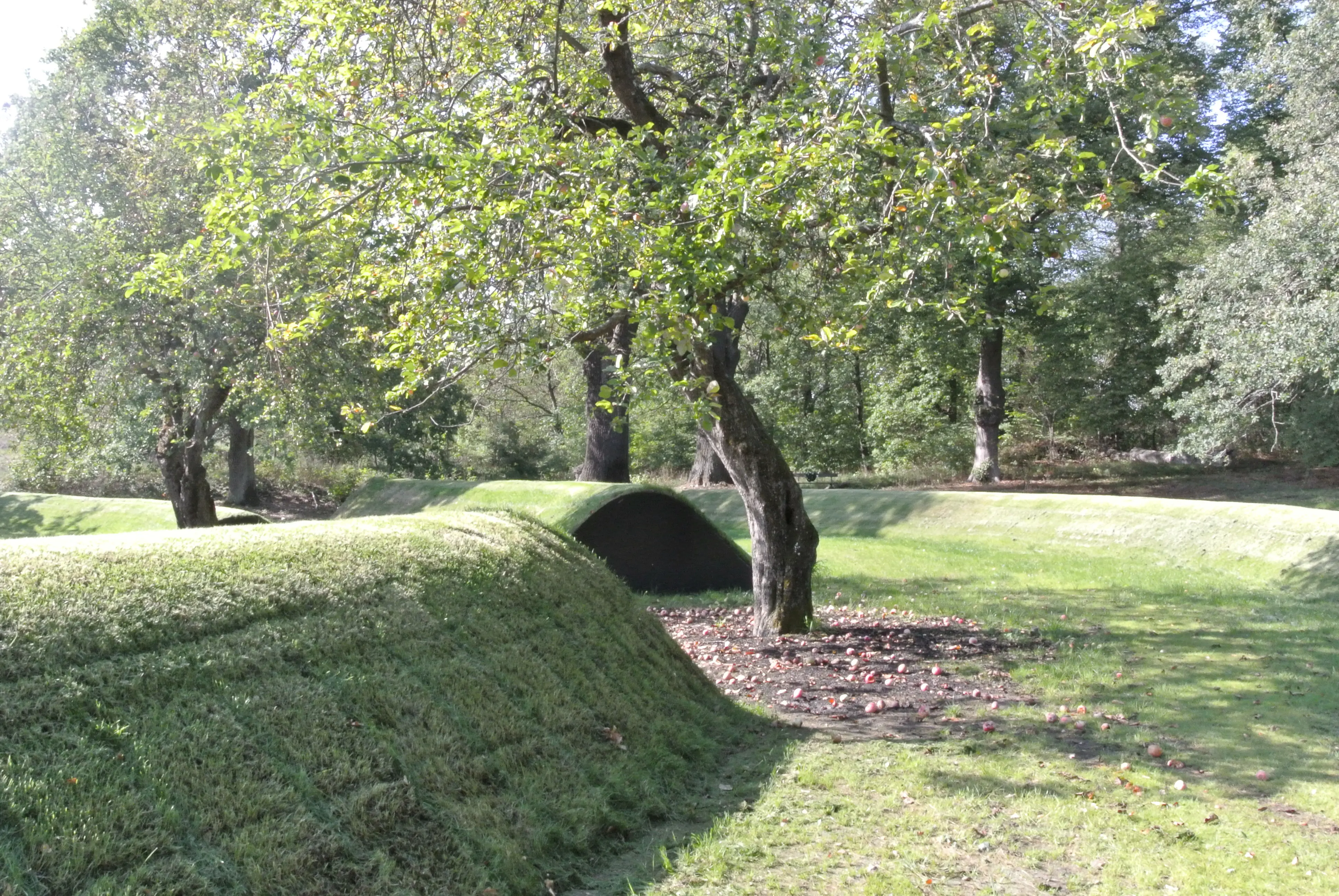 Minnesvården på Blockhusudden. Sensommar och grönska. Ett äppelträd har släppt sin frukt på marken.