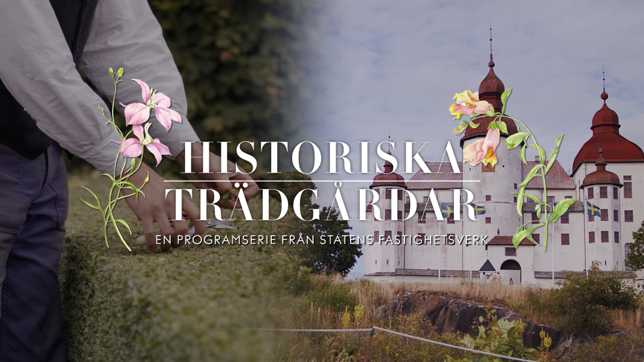Collage med närbild på ett par händer som klipper en häck och ett slott på andra sidan bilden. I bilden står texten "Historiska trädgårdar. En programserie från Statens fastighetsverk."