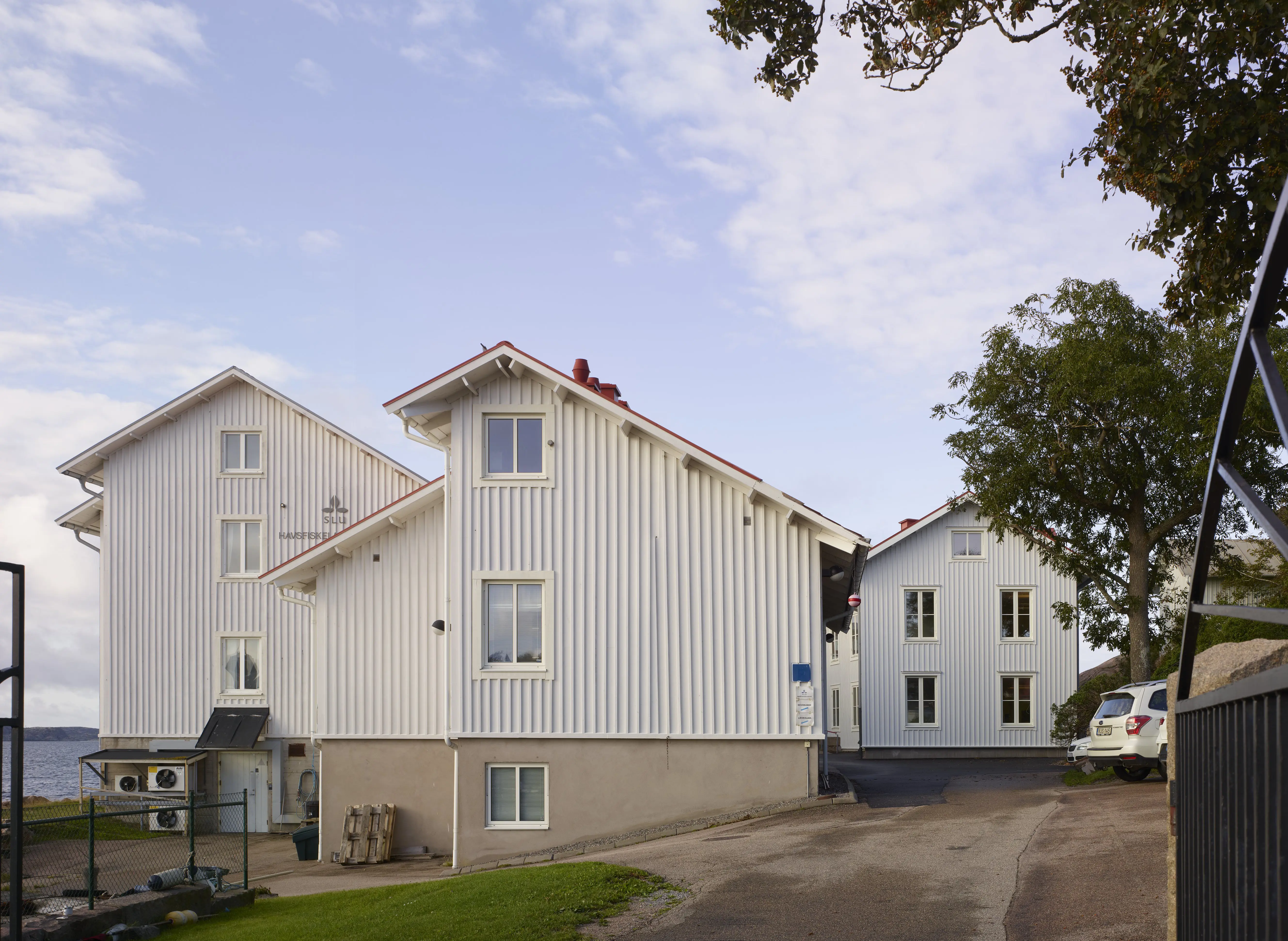 Infarten till havsfiskelaboratoriet i Lysekil. Tre byggnader klädda i vit, stående träpanel.