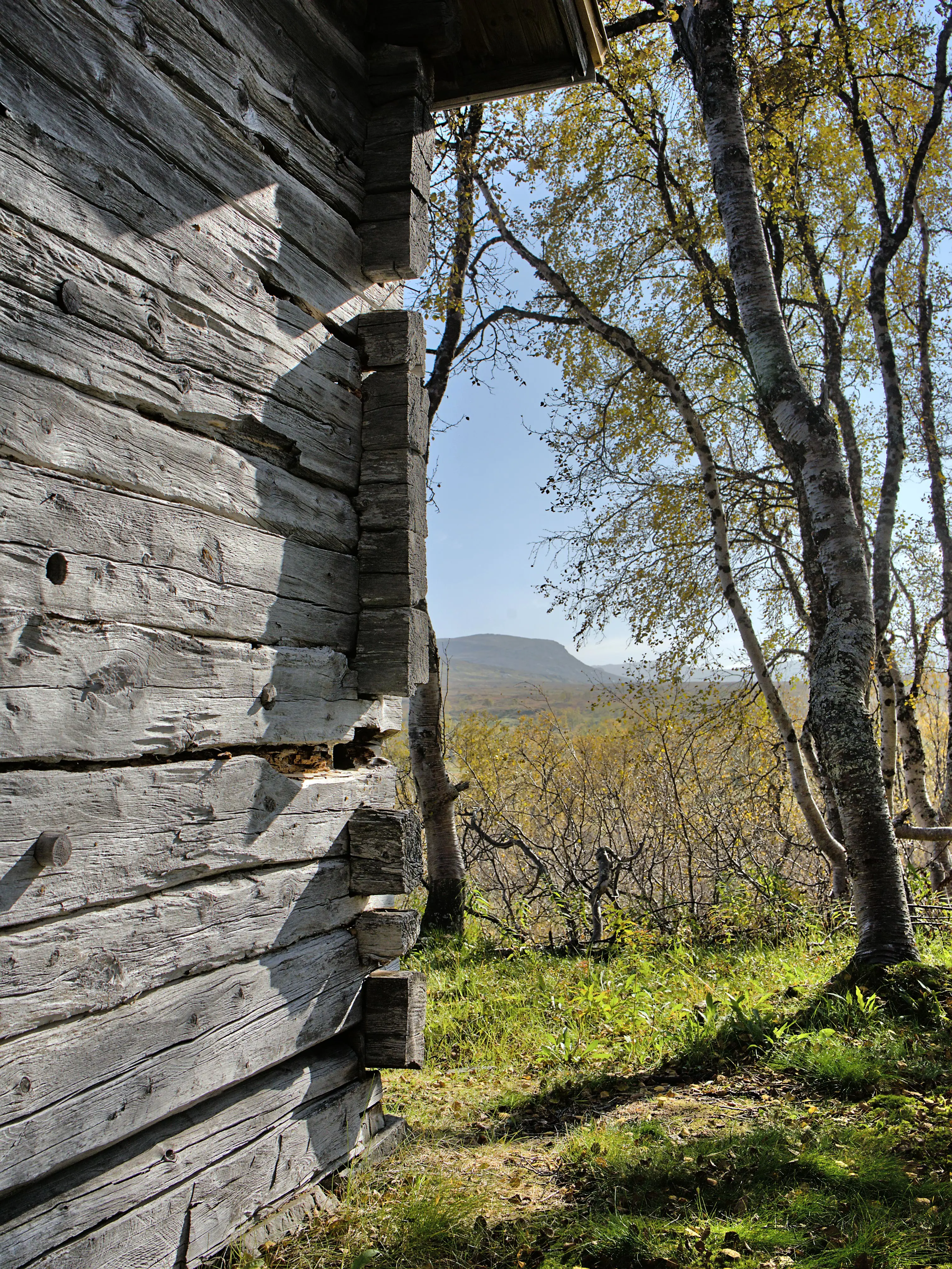 Husgavel på Statens vilstuga.