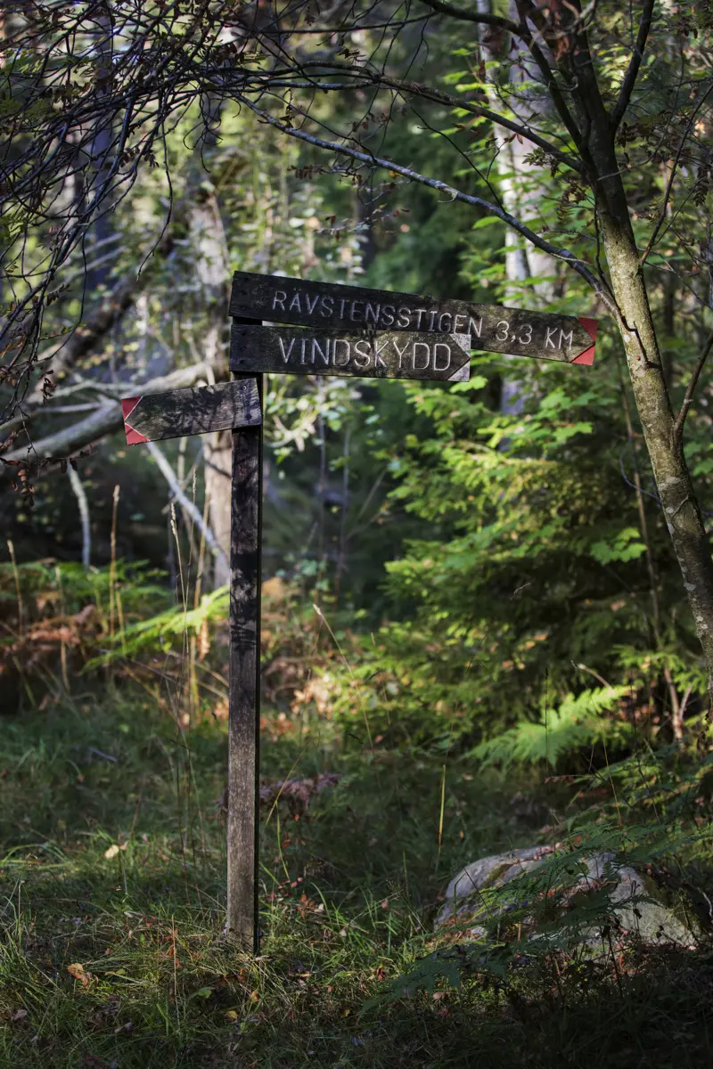 Skylt i skogen som pekar mot Rävstensstigen och mot ett vindskydd.