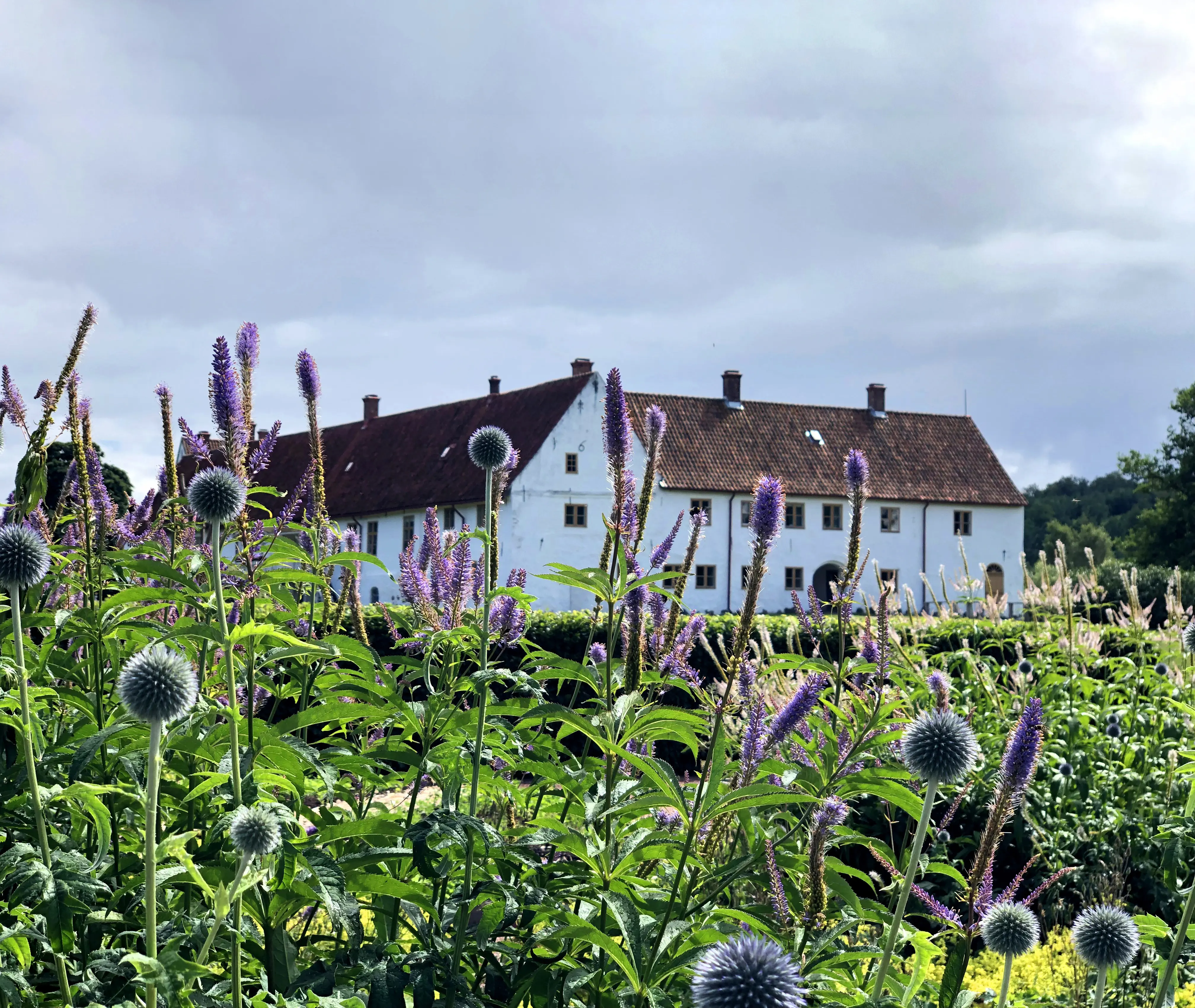 Hovdala slott sett från kryddträdgården.