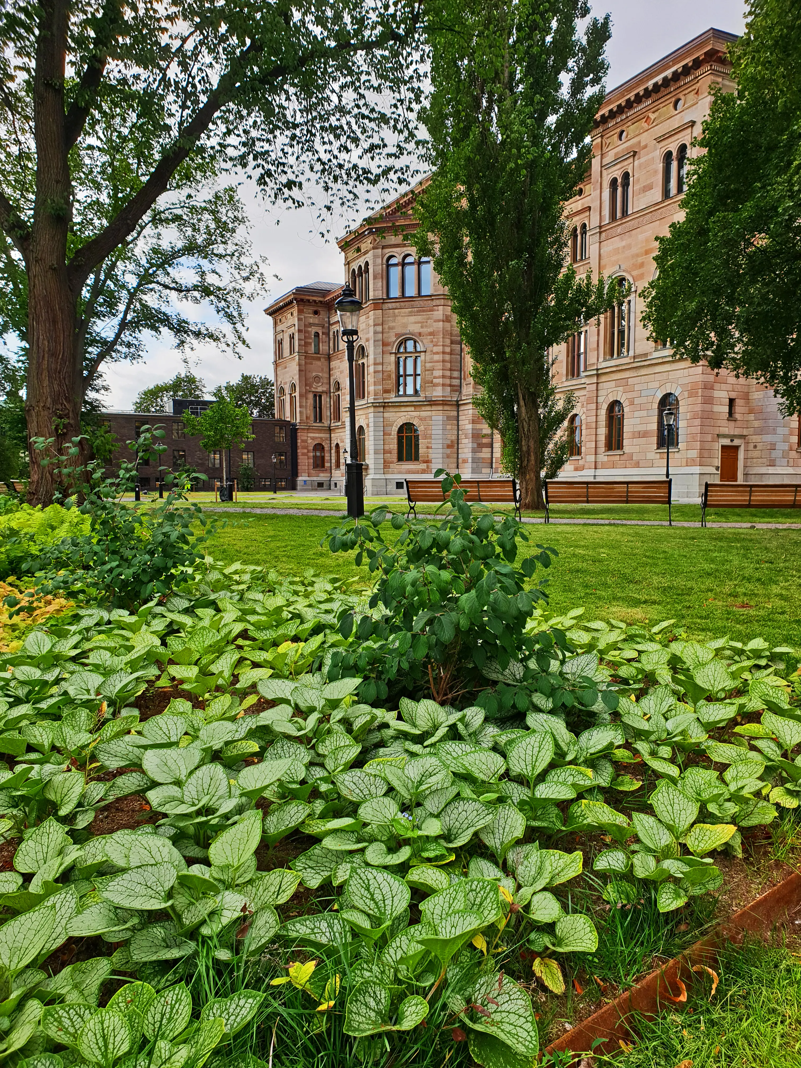 Exteriör Nationalmuseum. Baksidan mot museiparken. I förgrunden en grönskande plantering.