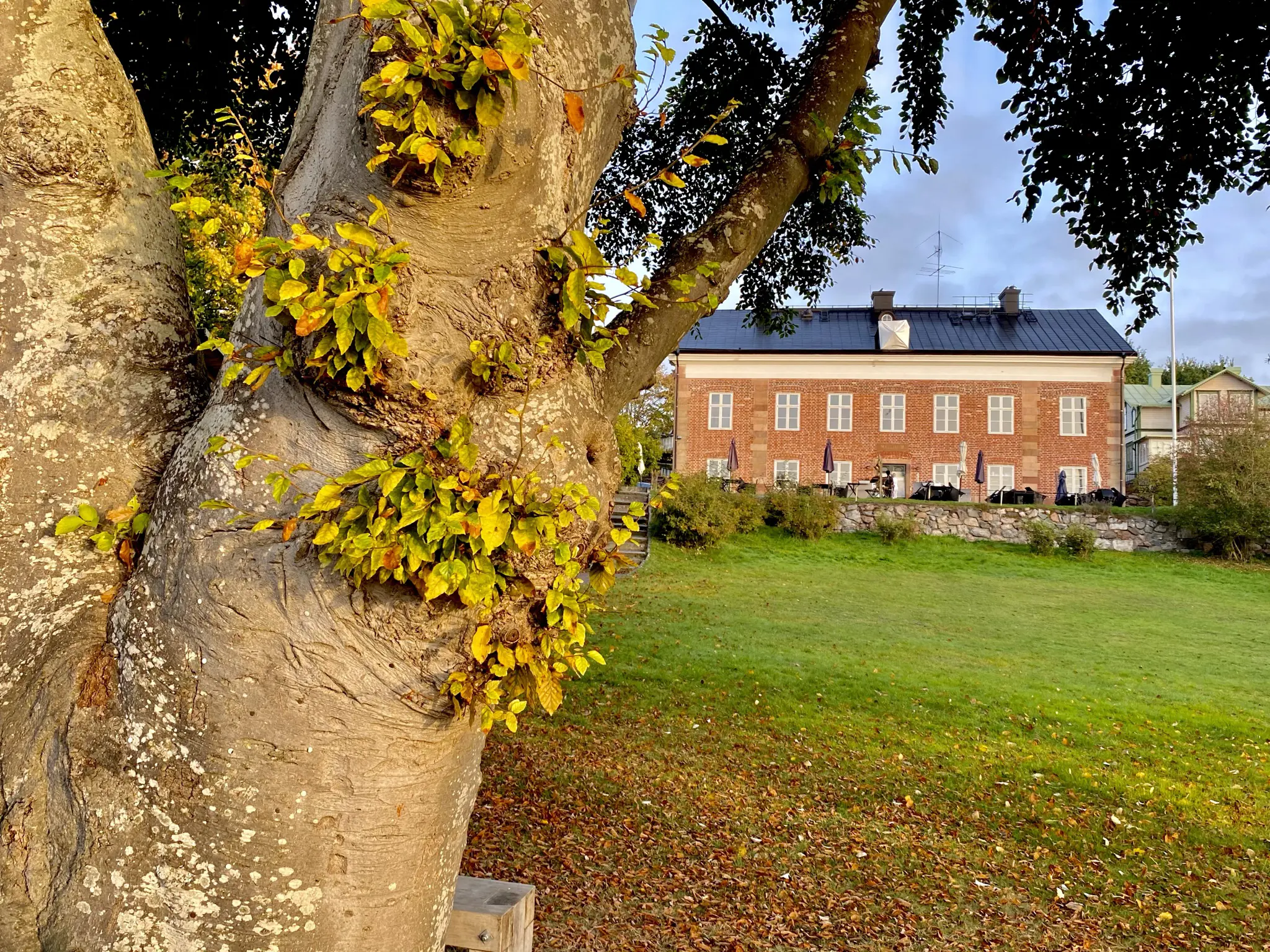 Dalarö tullhus med trädgård.