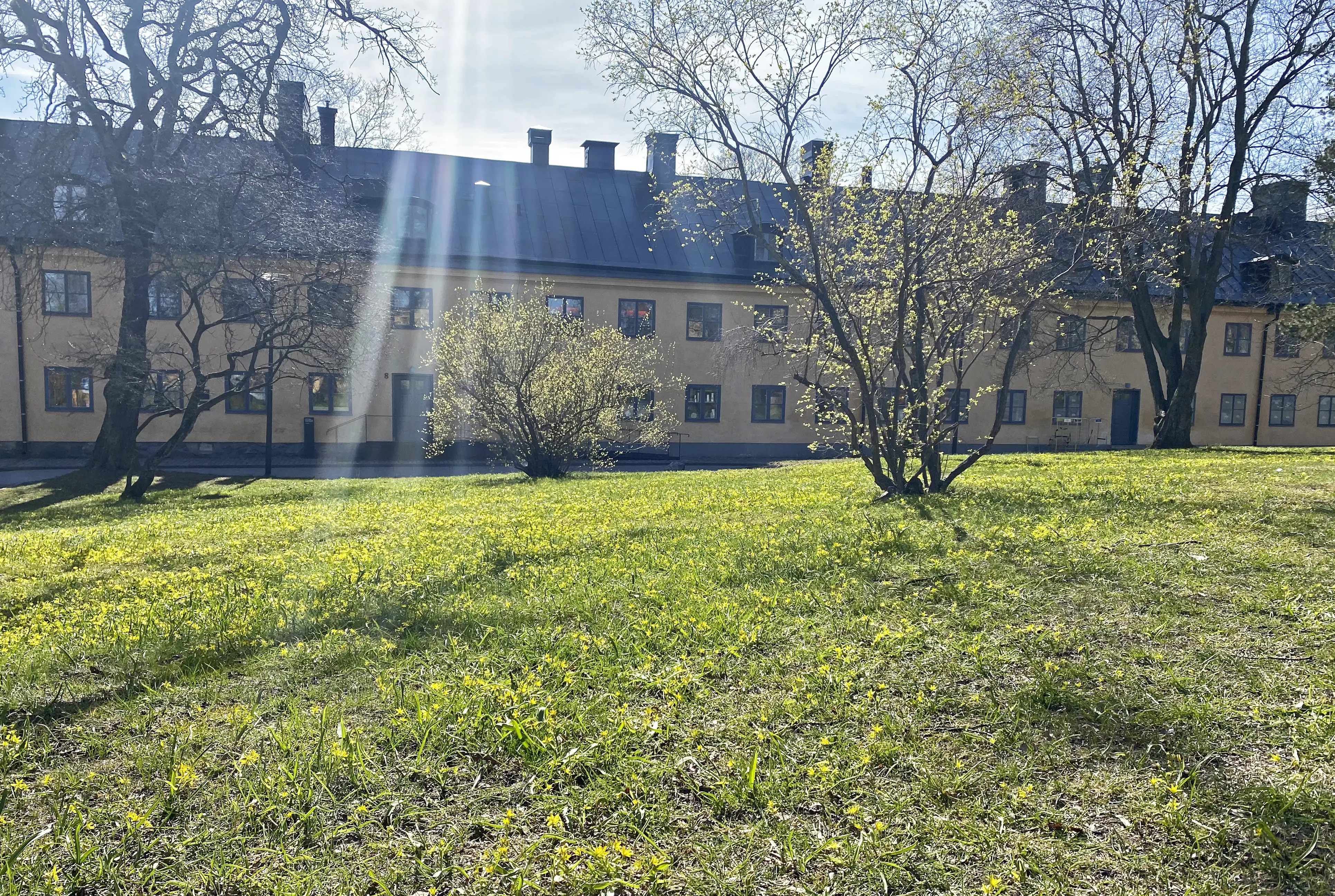 Svensksundsparken vid boställshusen. Tidig vår och spirande grönska.