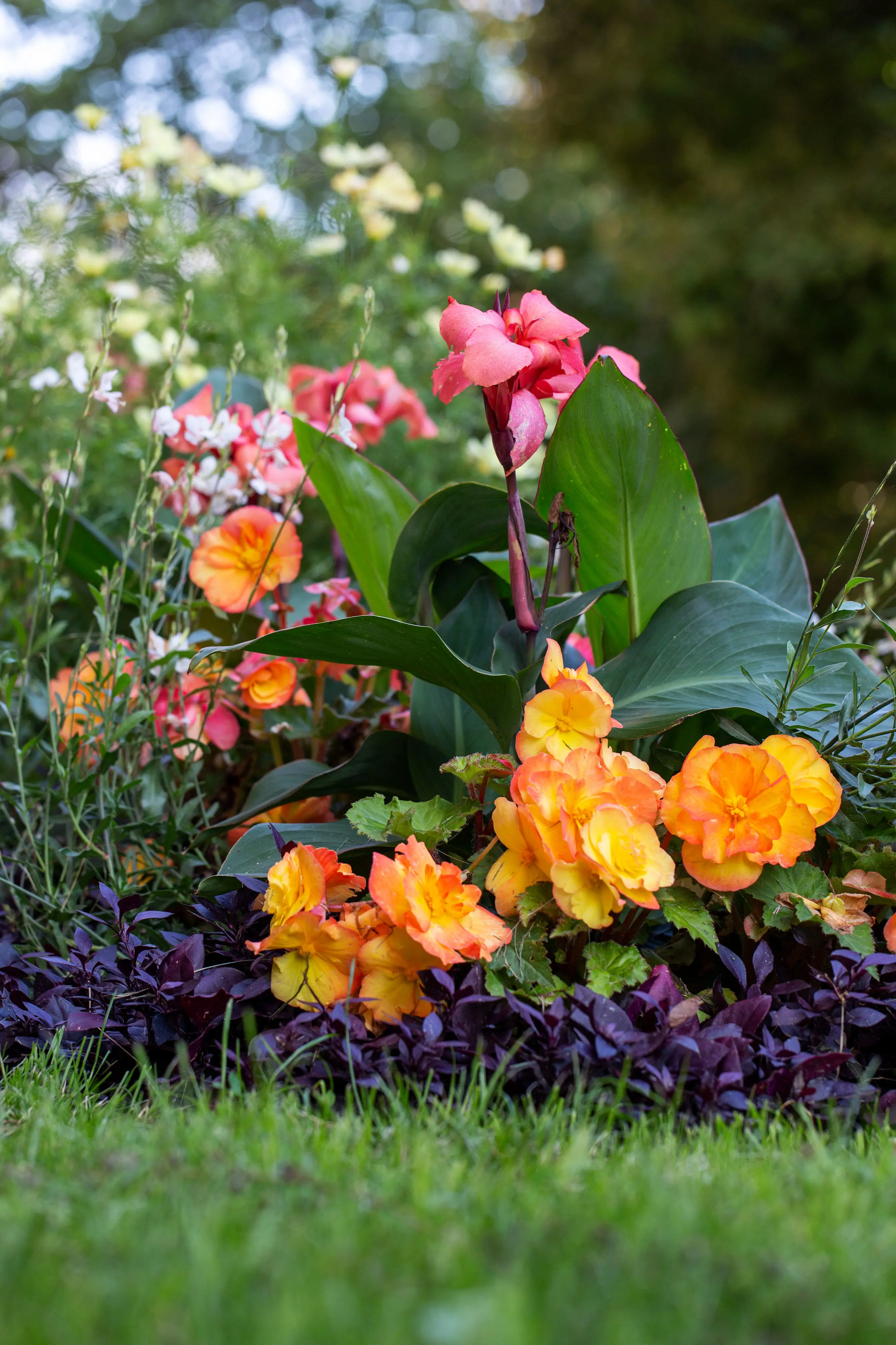 Rabatt vid Uppsala slott