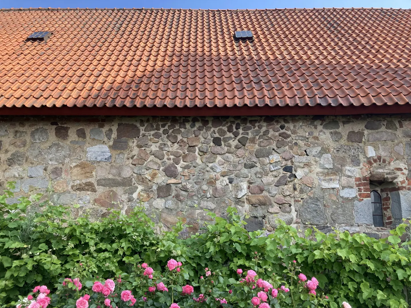 Stenfasad med rosor i förgrunden.