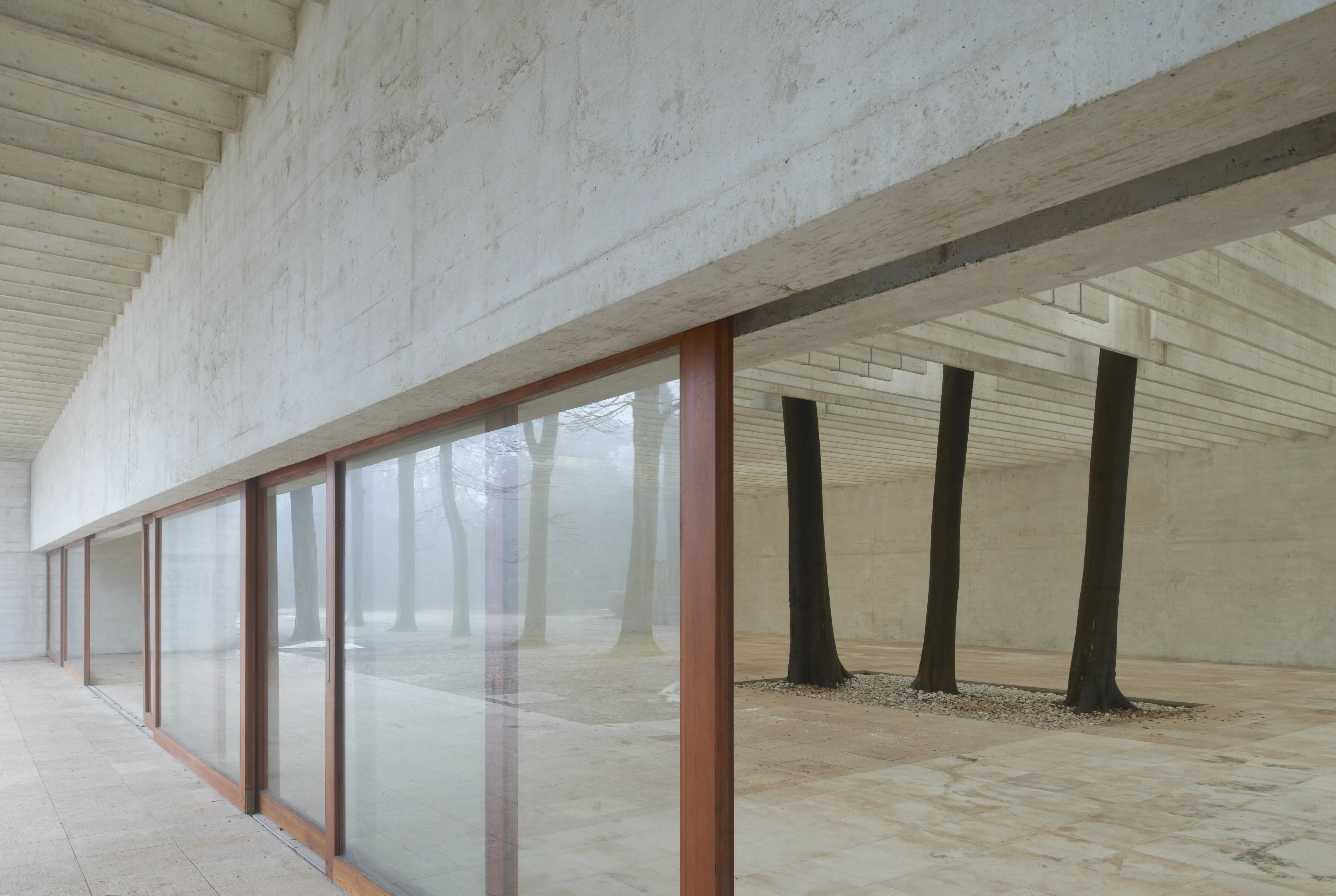 Nordiska paviljongen i Venedig. Vita betongytor. Fönstren speglar träden utanför. Tre trädstammar går mellan golv och tak inne i hallen.