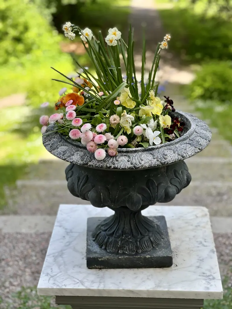 Kruka med blommor. I bakgrunden syns gräs och buskage.