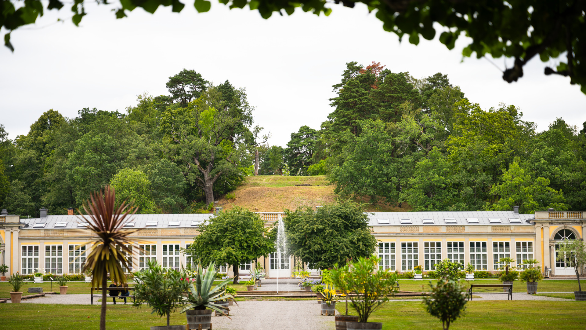 Ulriksdals slottspark. Vy genom en boské mot Orangeriet och Mons Marie. Sommar och grönska.