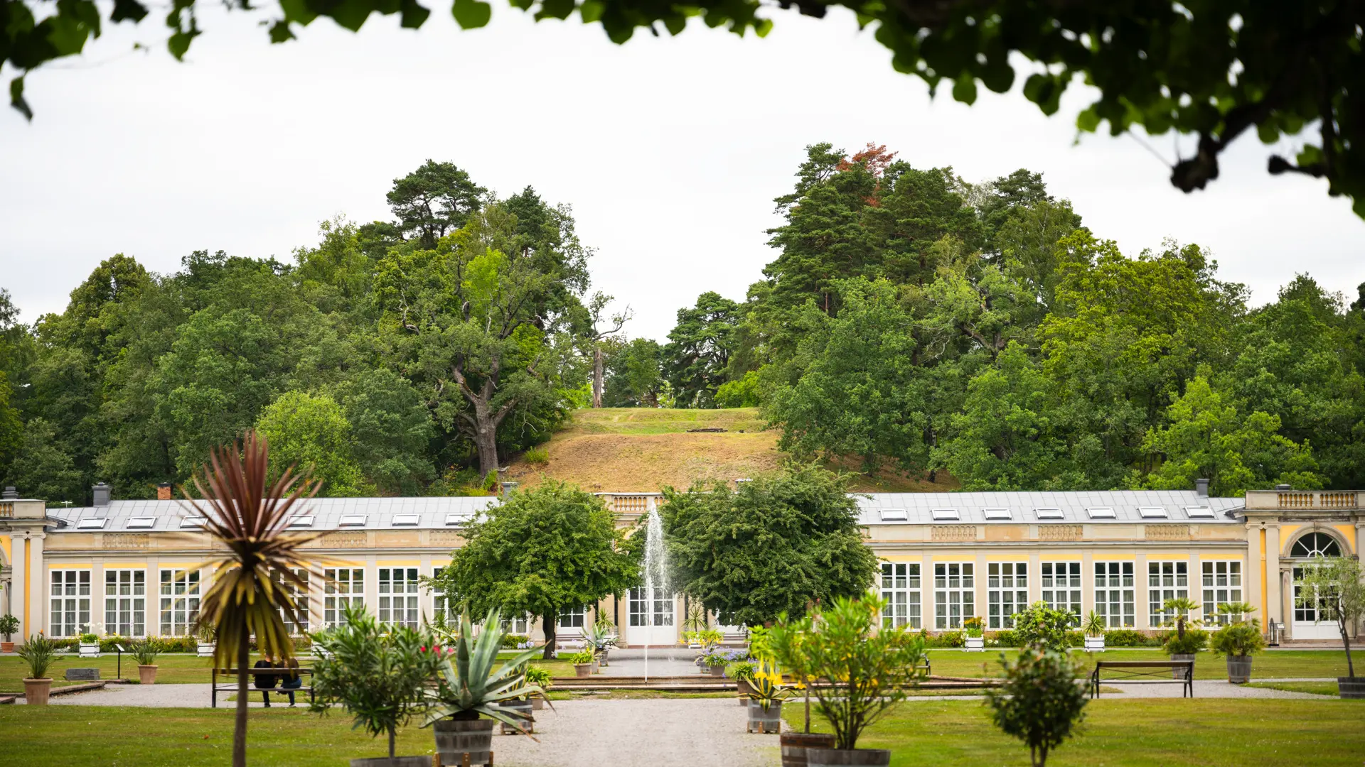Ulriksdals slottspark. Vy genom en boské mot Orangeriet och Mons Marie. Sommar och grönska.