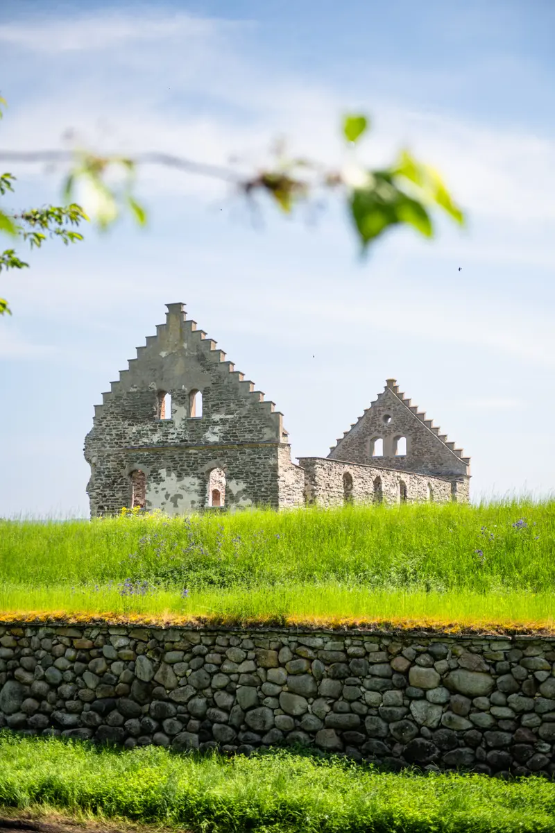 Visingsborgs slottsruin med grönska i förgrunden.