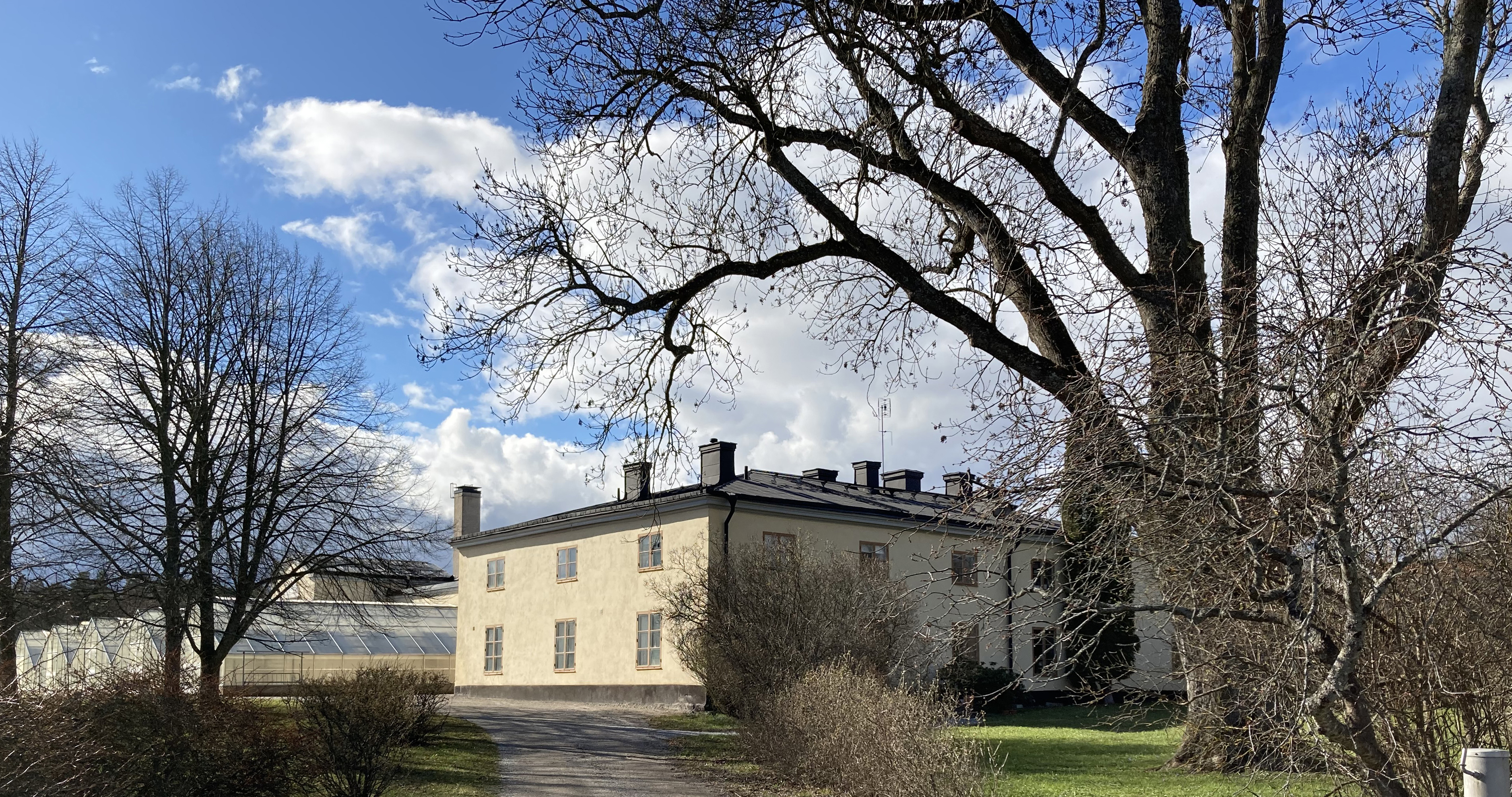 Orangeribyggnaden, en ljusgul tvåvåningsbyggnad i enkel klassicistisk stil, omgiven av en trädgård med buskar och träd. Tidig vår.