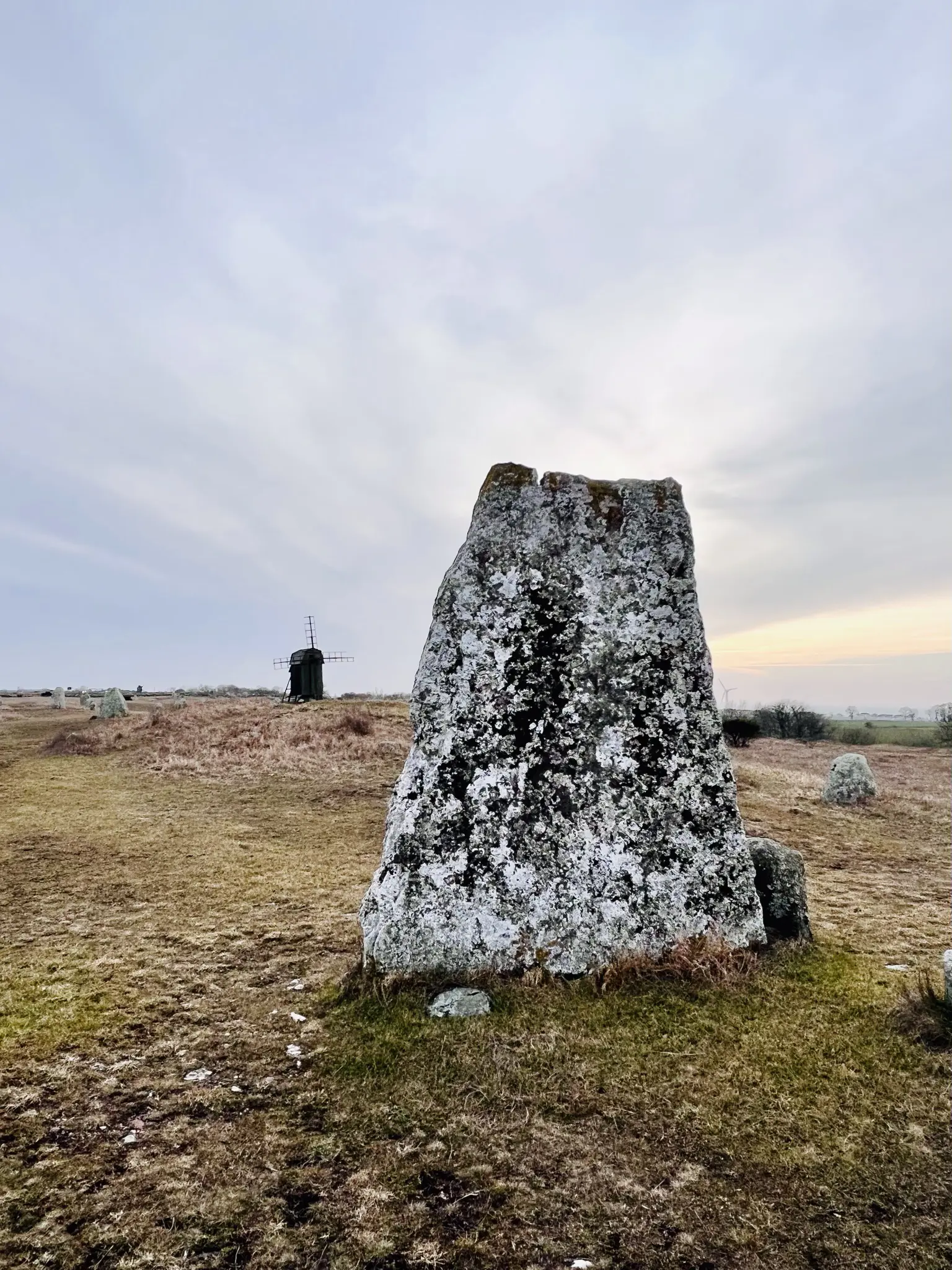 Gettlinge gravfält. En stor, rest stenflisa omgiven av frostbitet gräs och låga buskar. I bakgrunden en väderkvarn.