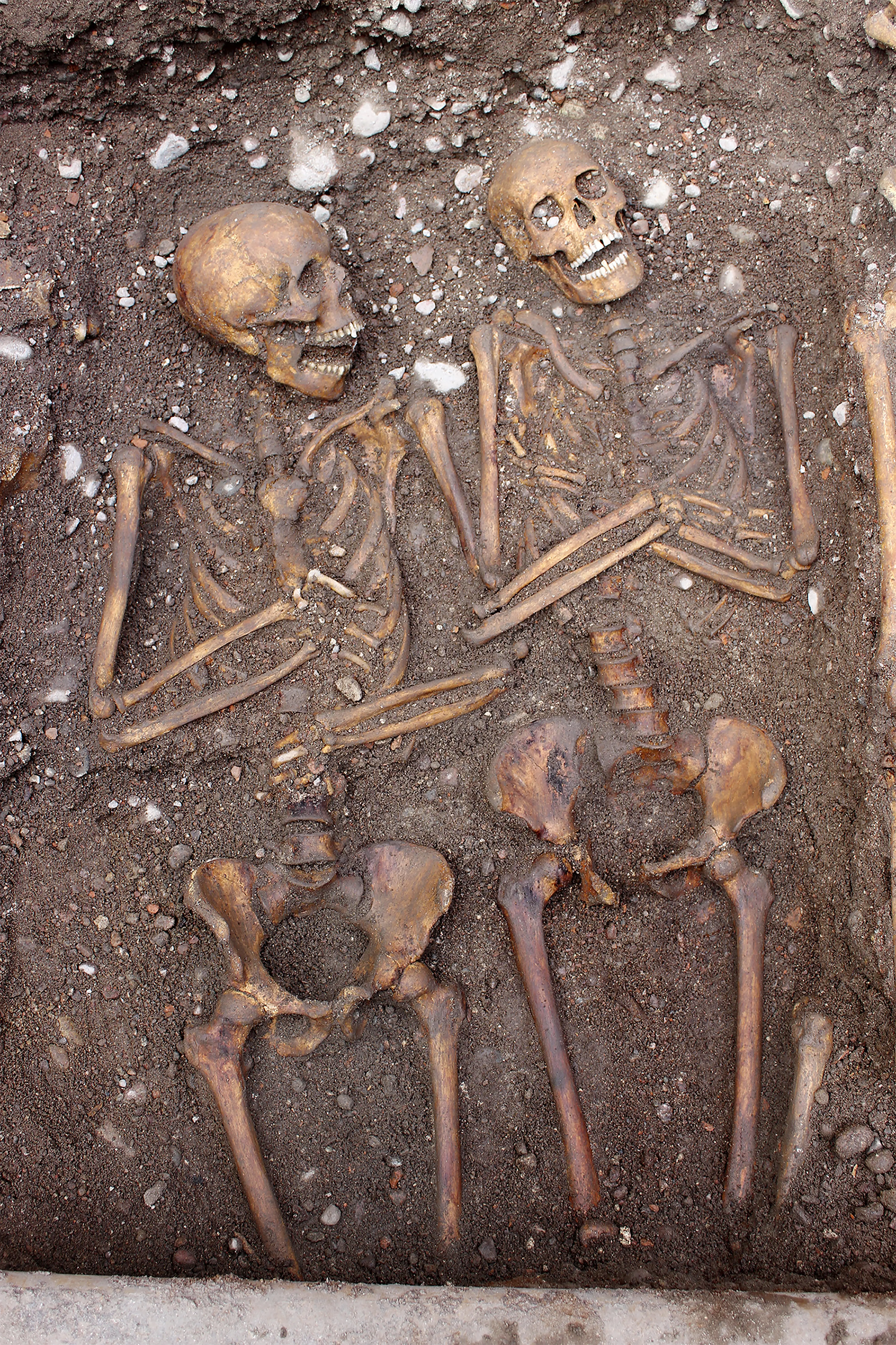 Skelettfynd från Slottsbacken