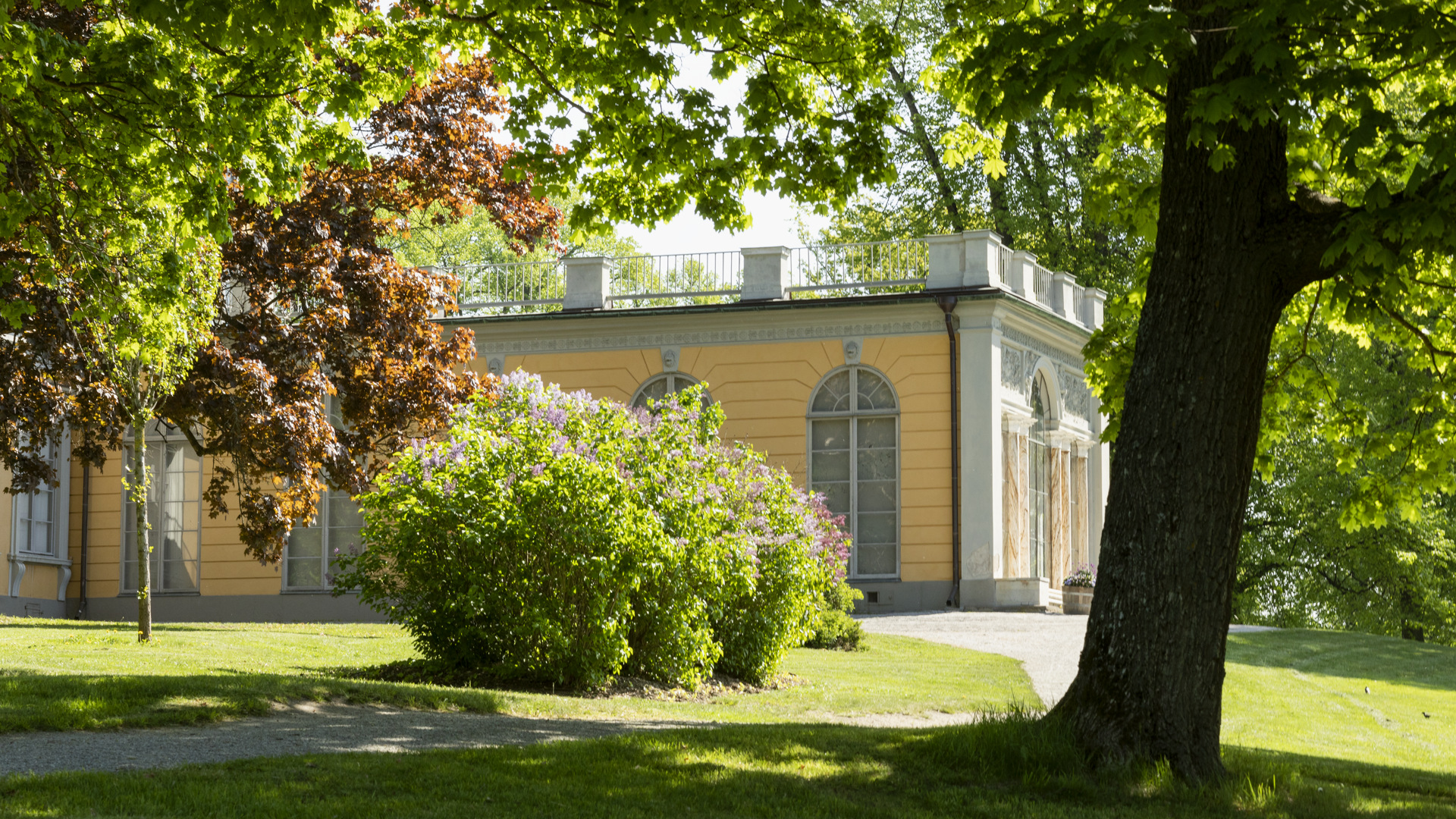 Gustav III:s paviljong i Hagaparken. Ett gult litet slott omgivet av grönska.