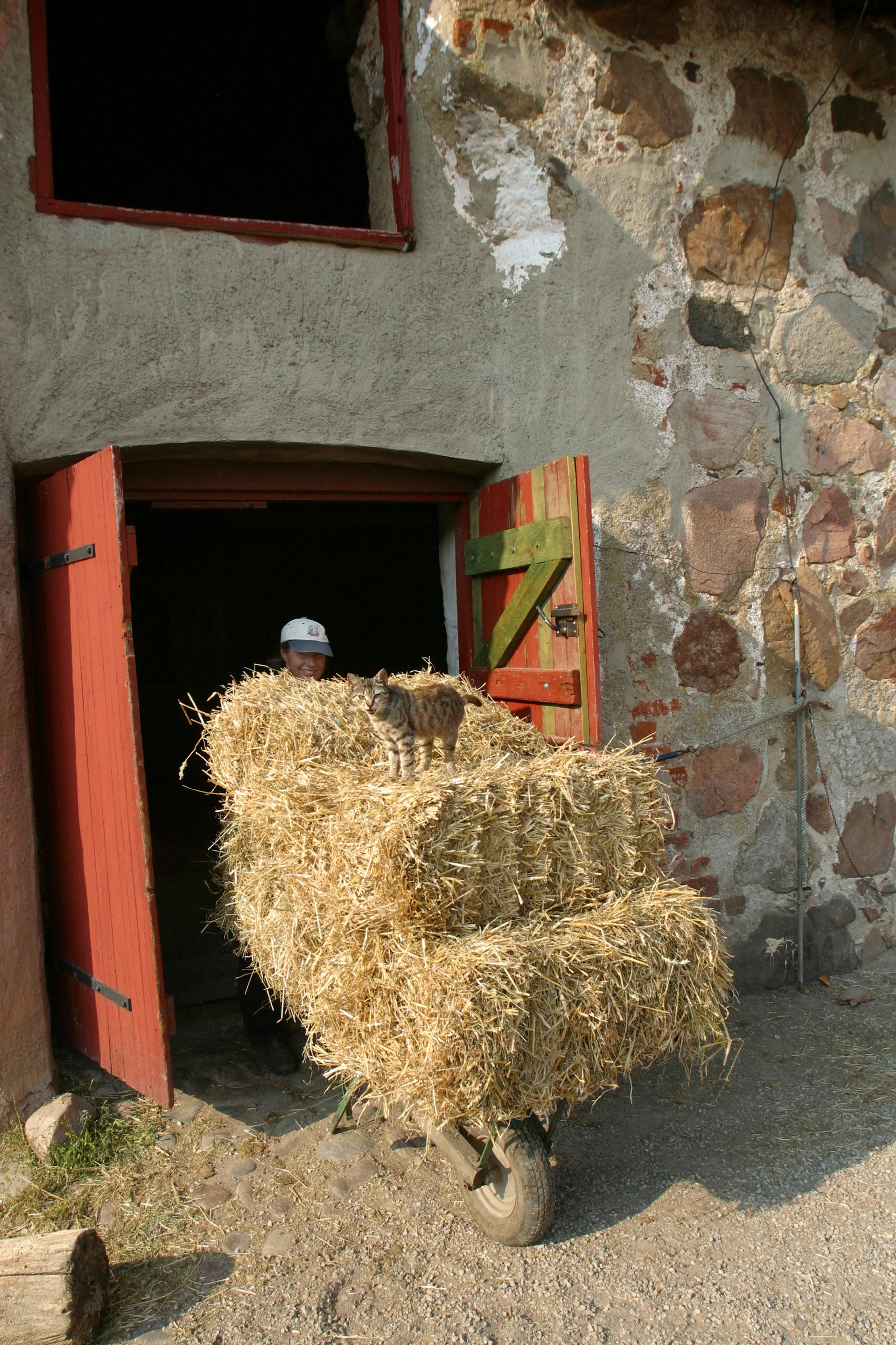 Hökärra i öppningen till ladugårdsdörren i Dalby kungsgård
