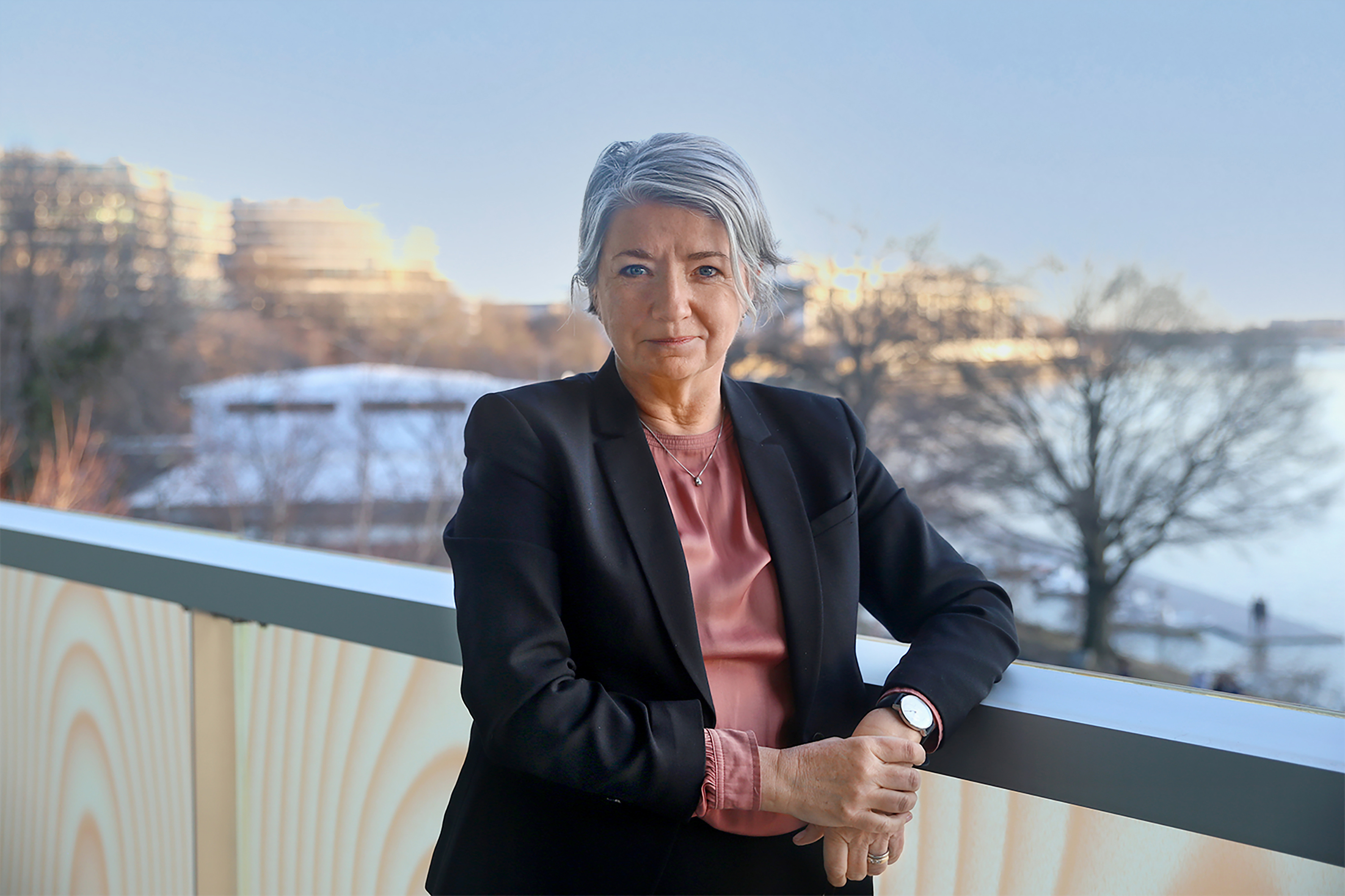 Karin Olofsdotter, Sveriges ambassadör i Washington D.C.
