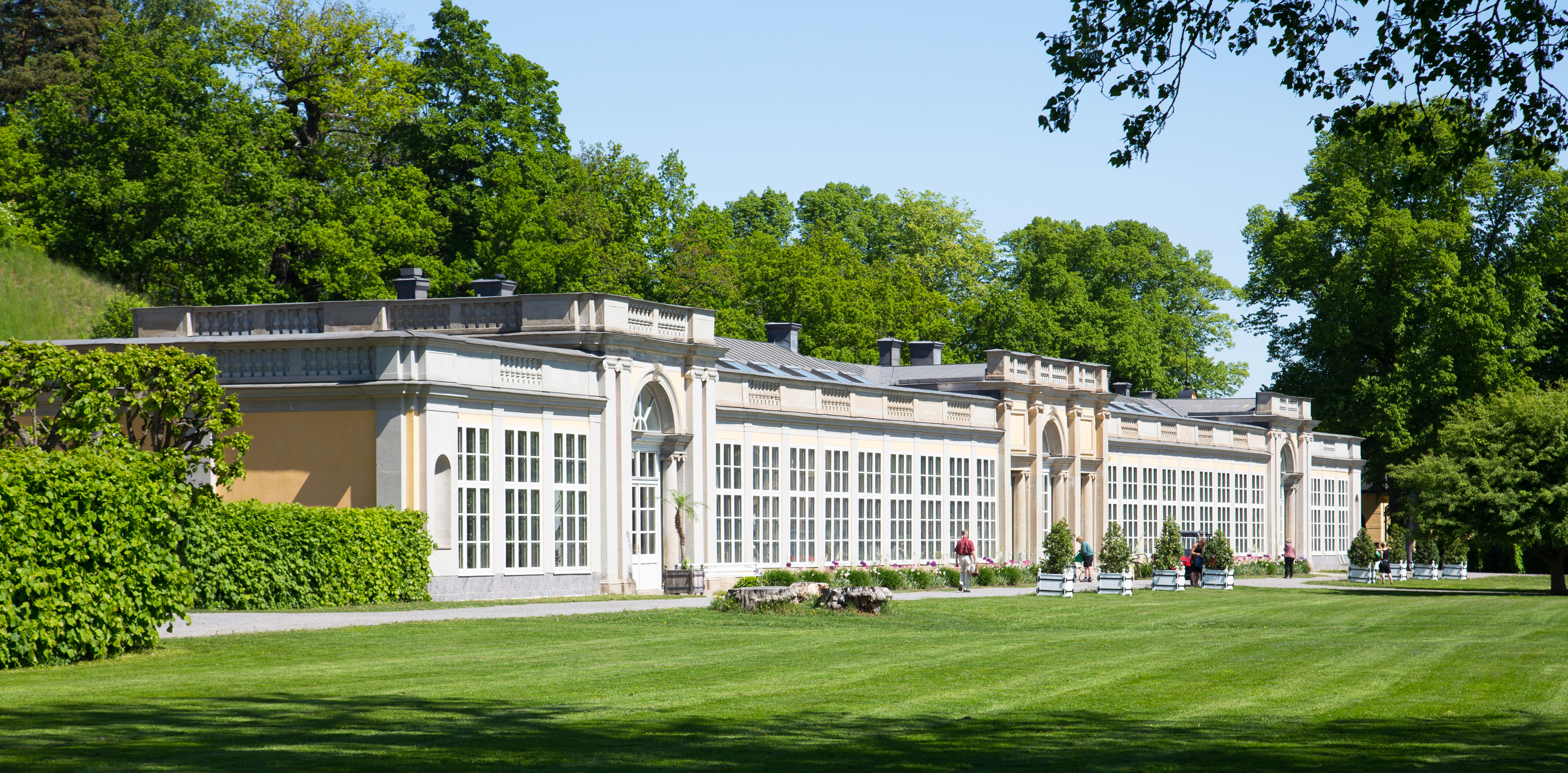 Orangeriets långsträckta byggnad omgivet av sommargrönska.