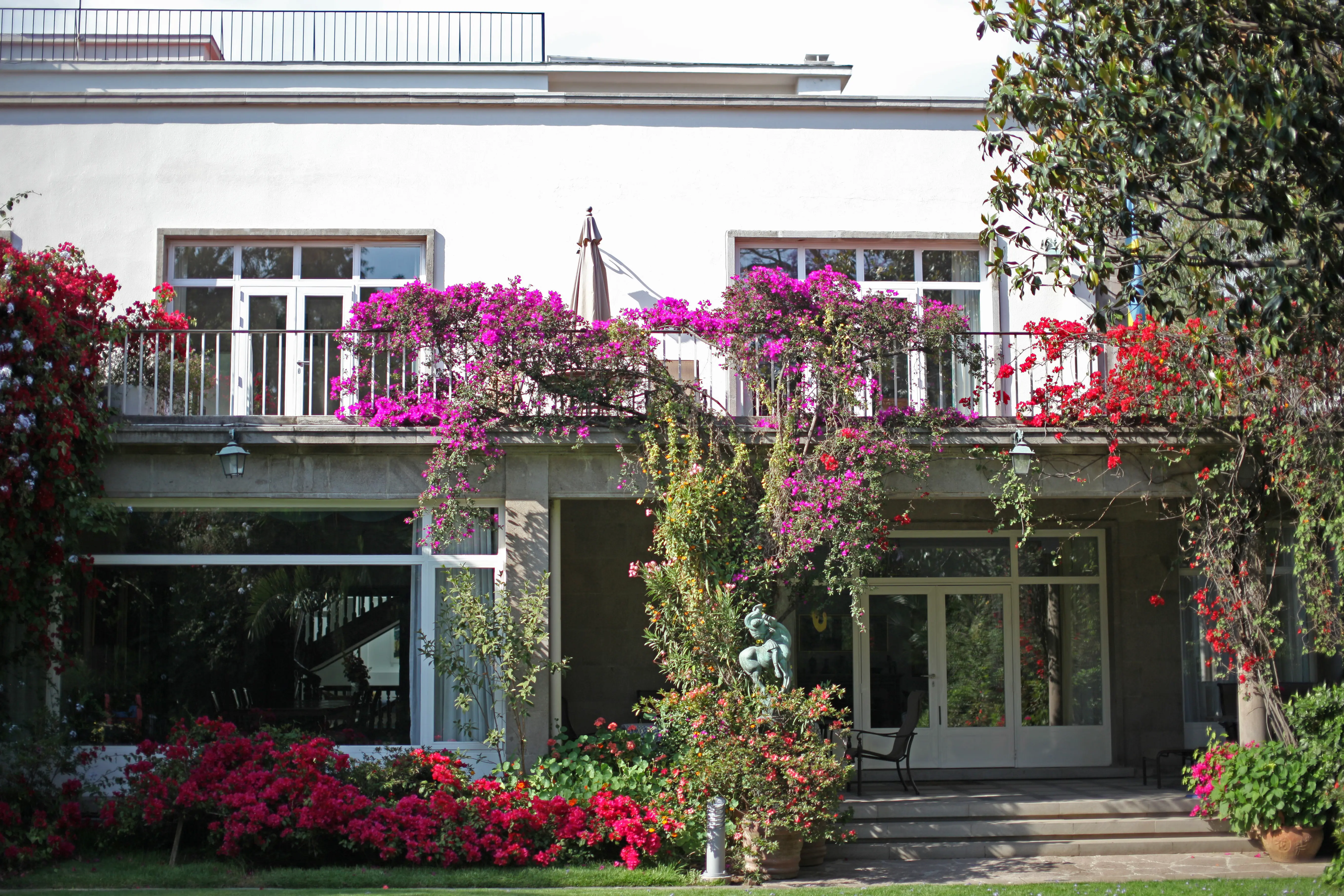 Mexiko City, ambassadkansli och residens. Vit byggnad med balkong och panoramafönster, omgiven av lila och röda blommor.