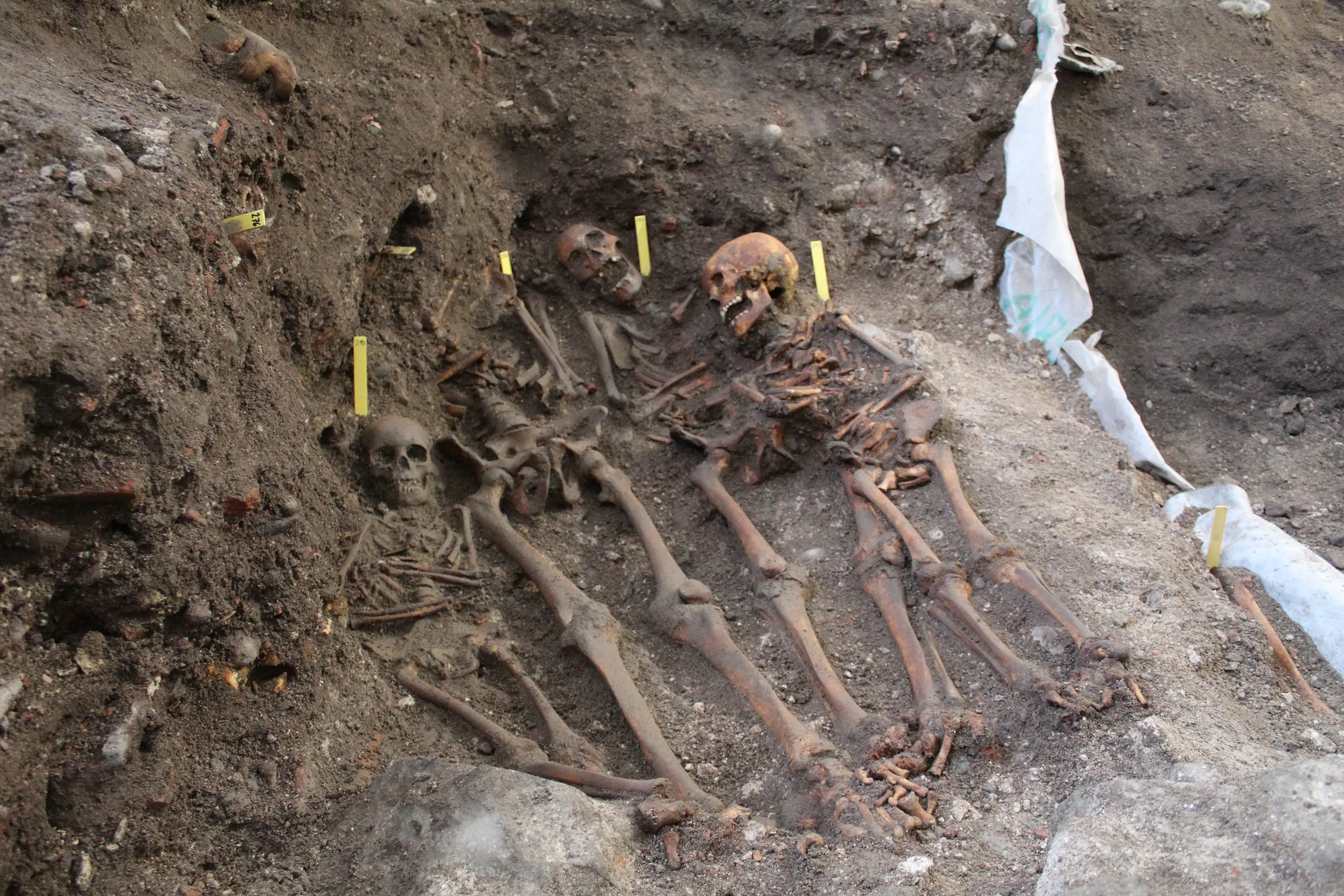 Skelett från gravplats på Slottsbacken