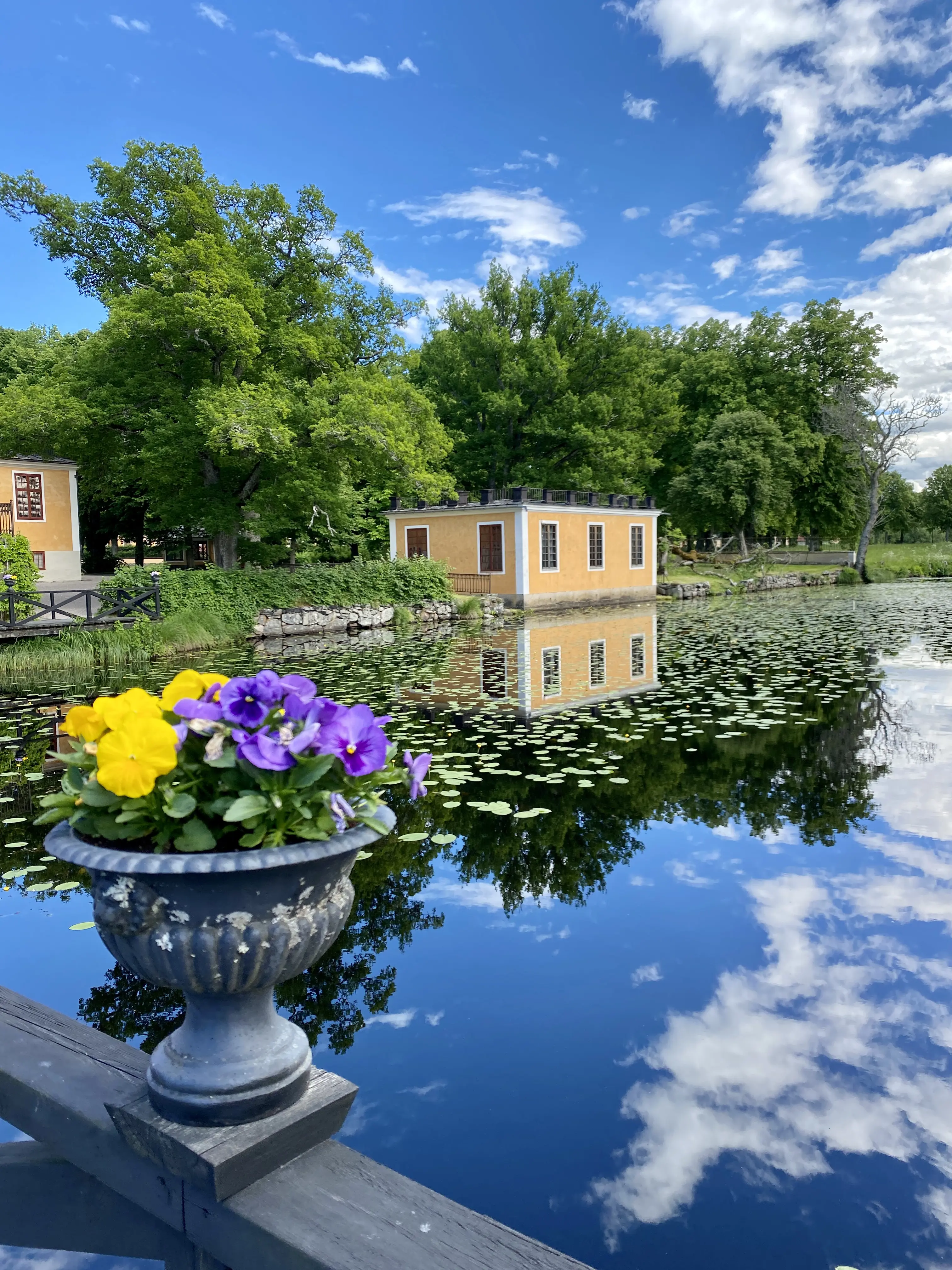 Lövstabruk. Naturaliekabinetten vid åstranden, sett från träbron mellan trädgården och herrgården. Sommar och grönska. Ån är täckt av näckrosblad.