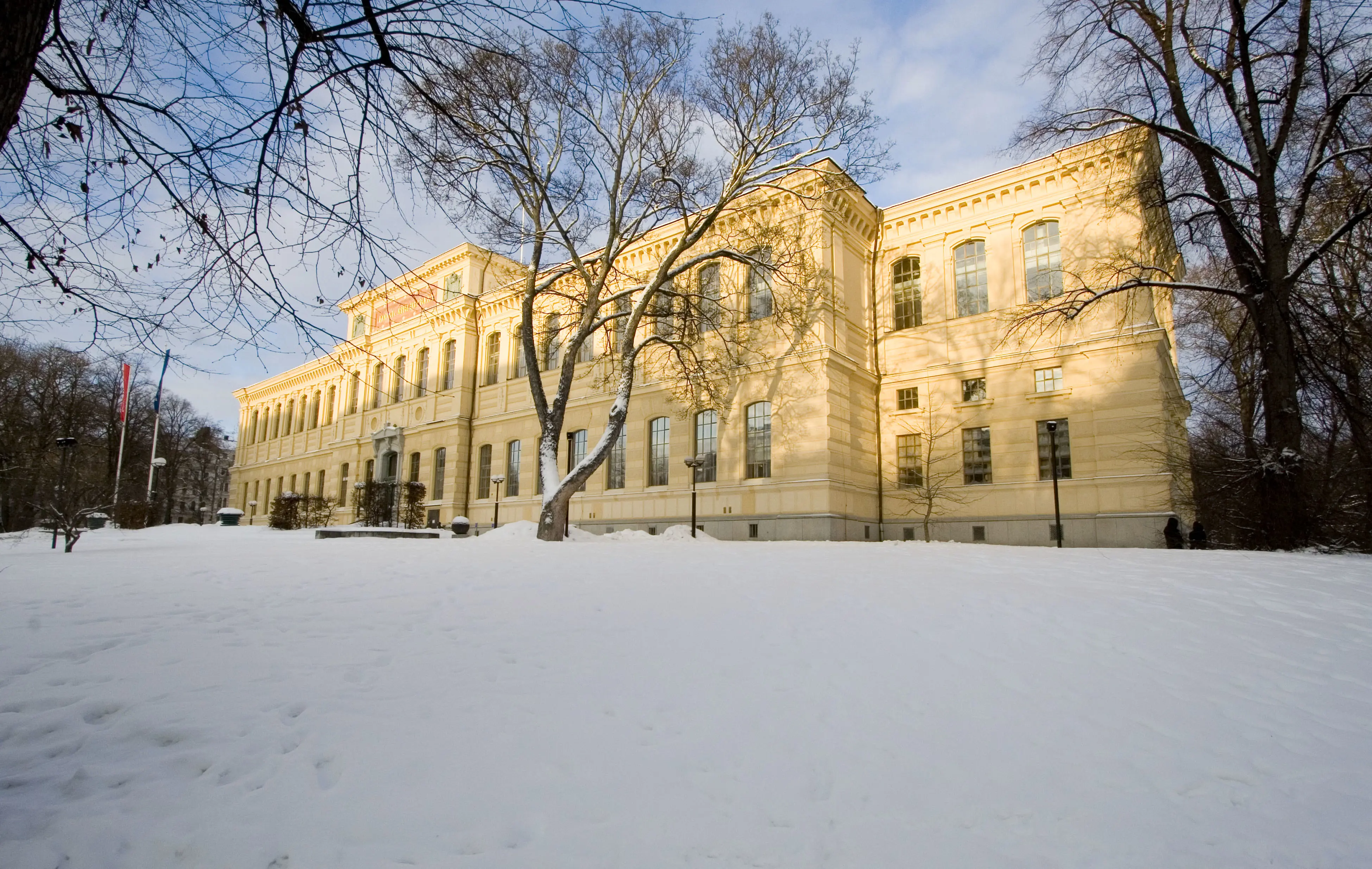 Kungliga biblioteket i vinterskrud.